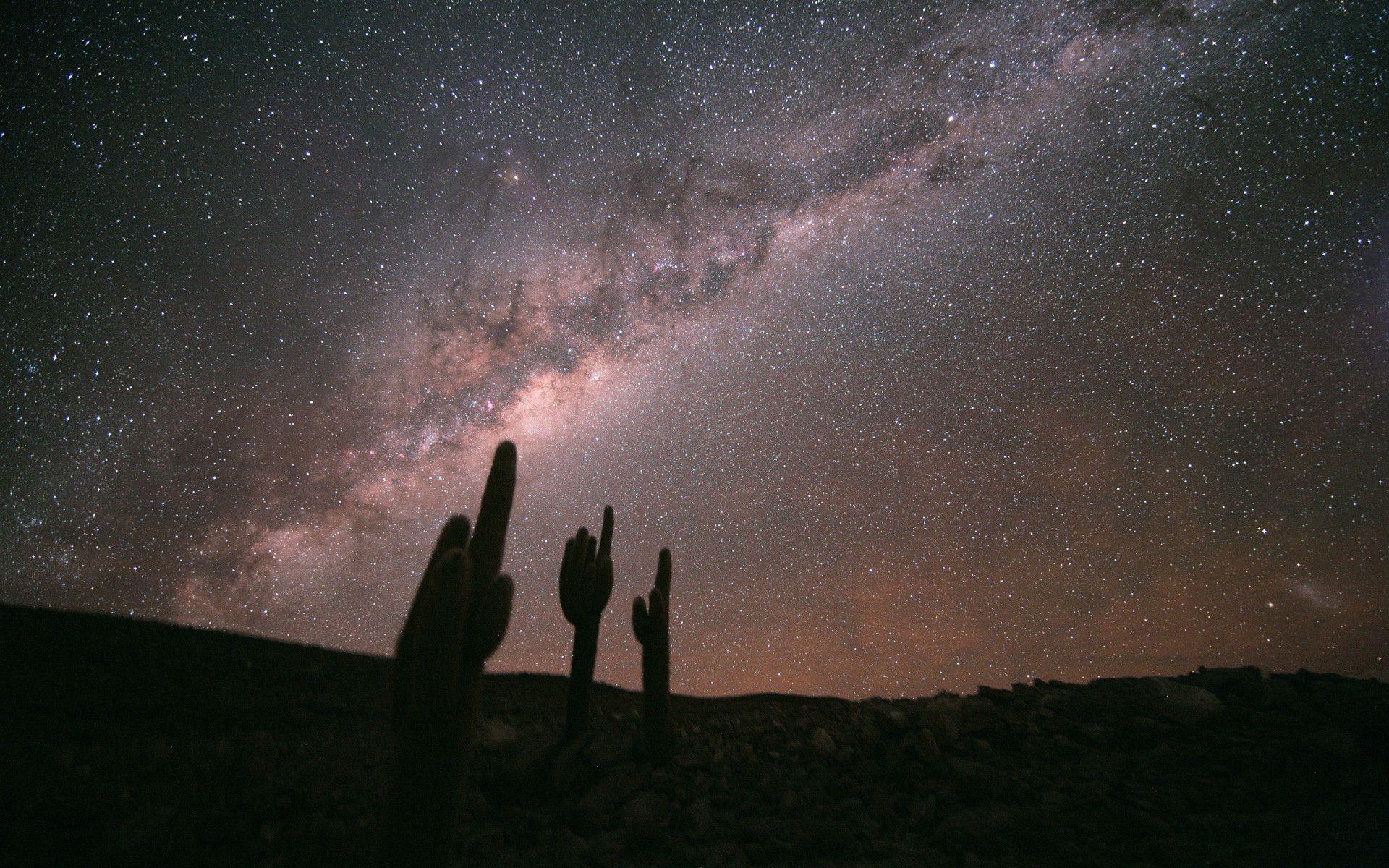 File:Echinopsis Atacamensis and the Milky Way