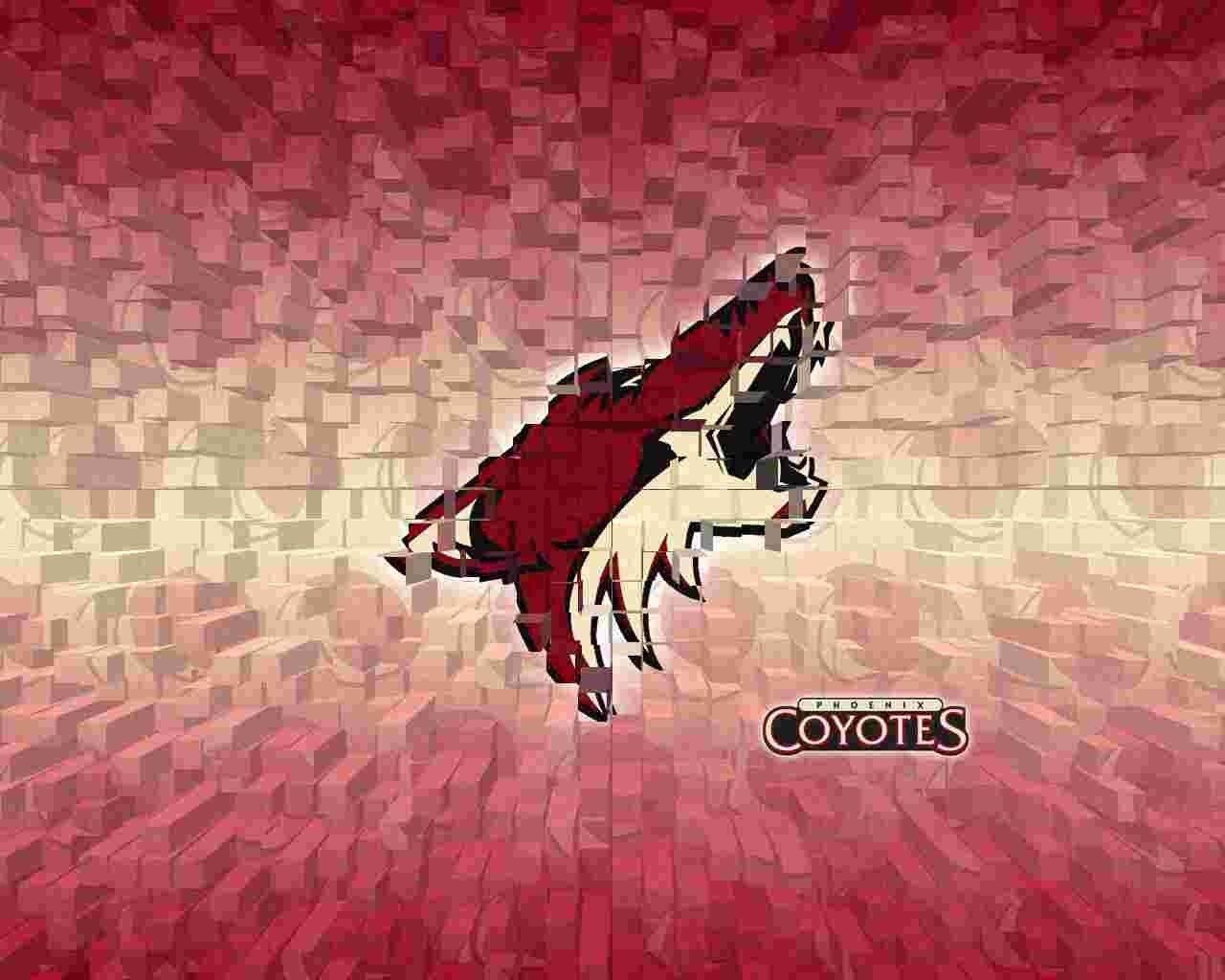 excellent arizona coyotes wallpapers