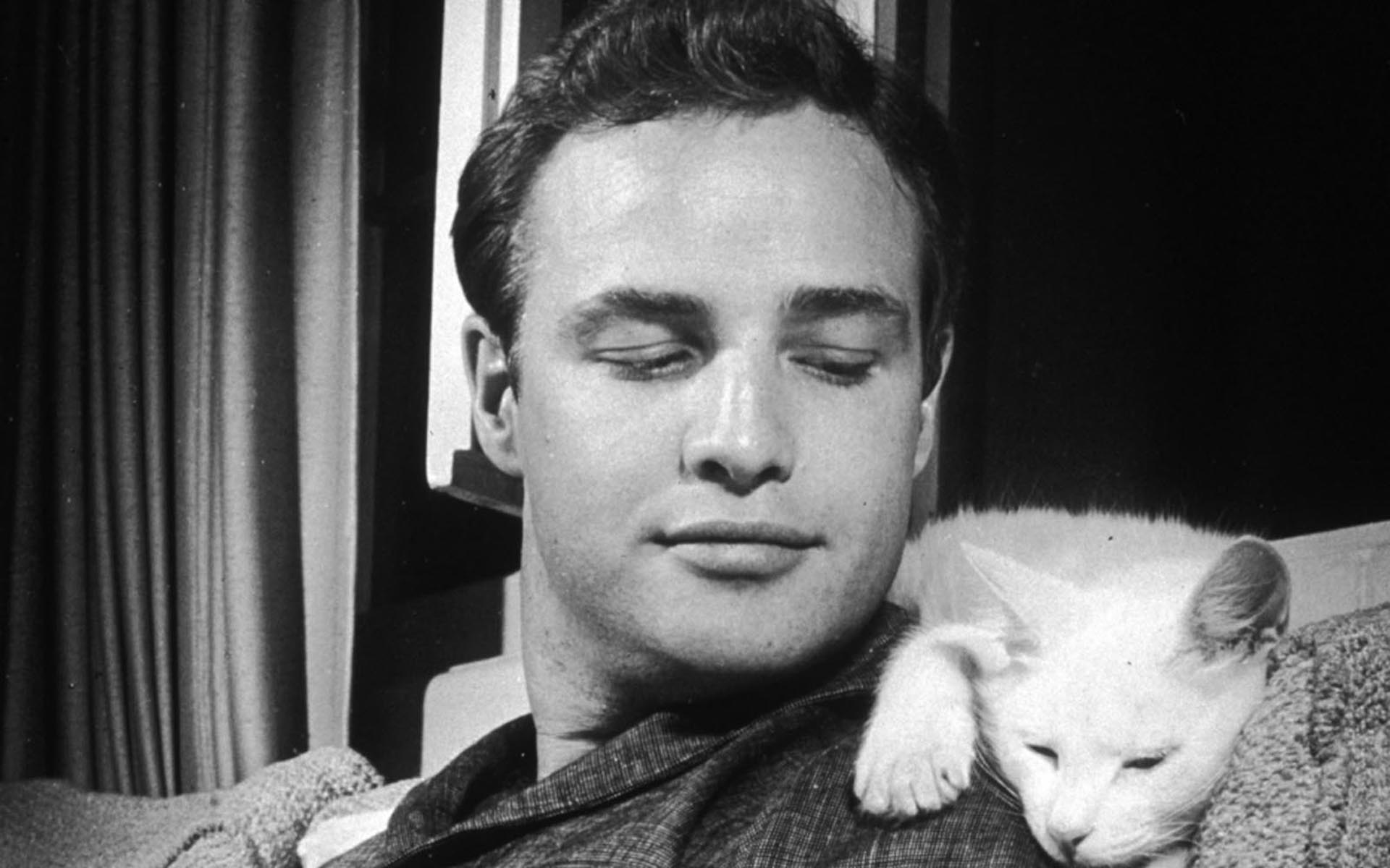 Marlon Brando Pictures