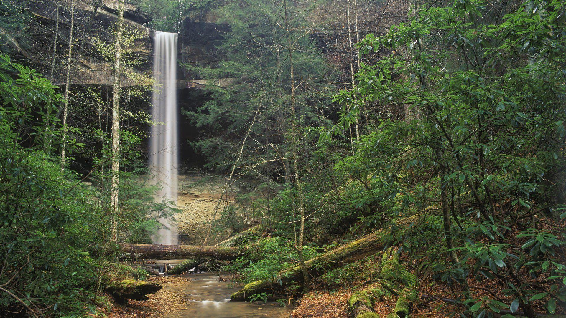 Ozark National Forest Wallpapers