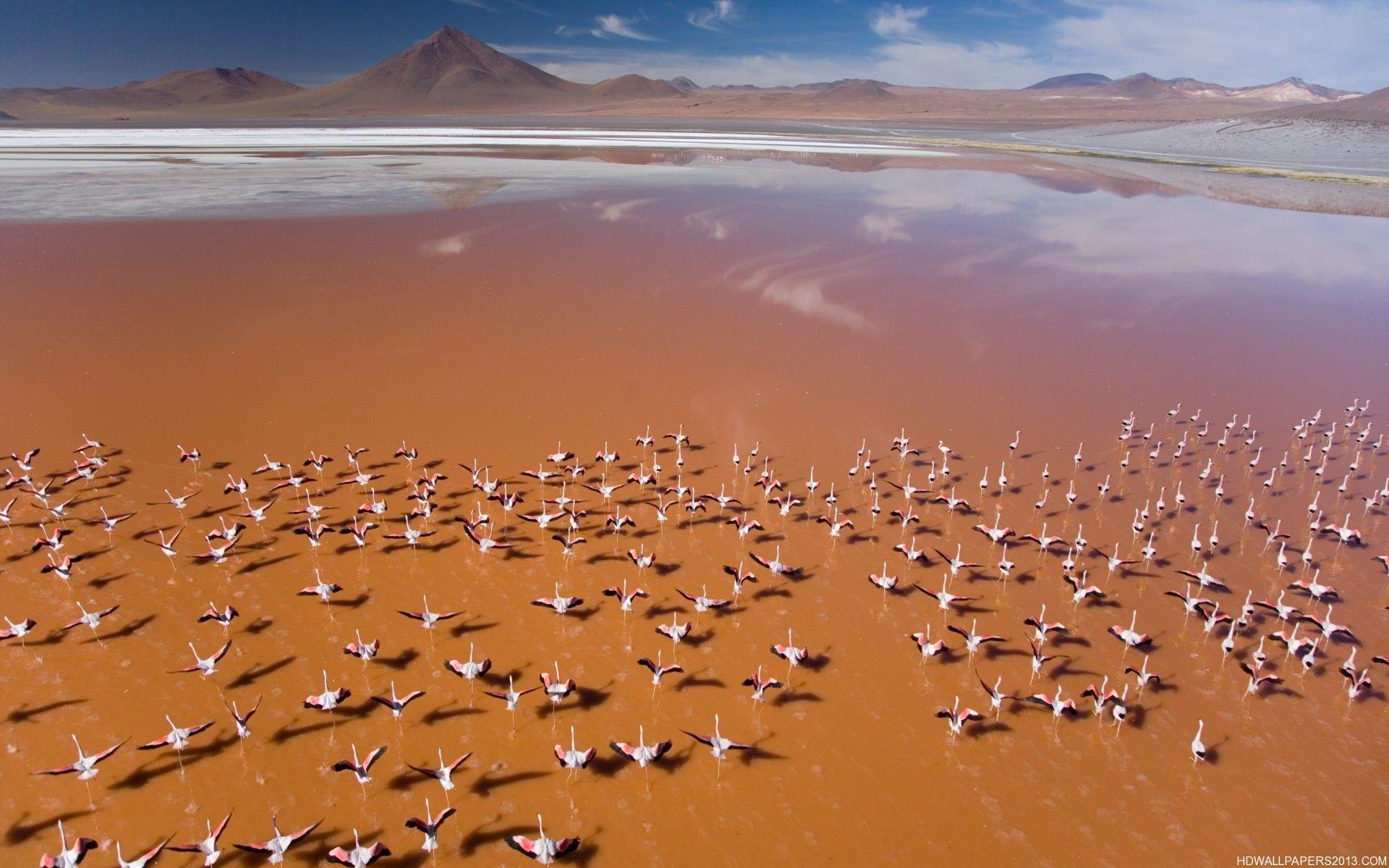 Atacama Desert