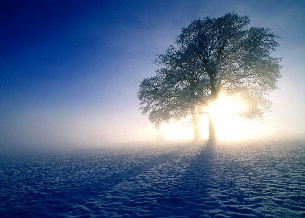 Winter Sunrise Wallpapers