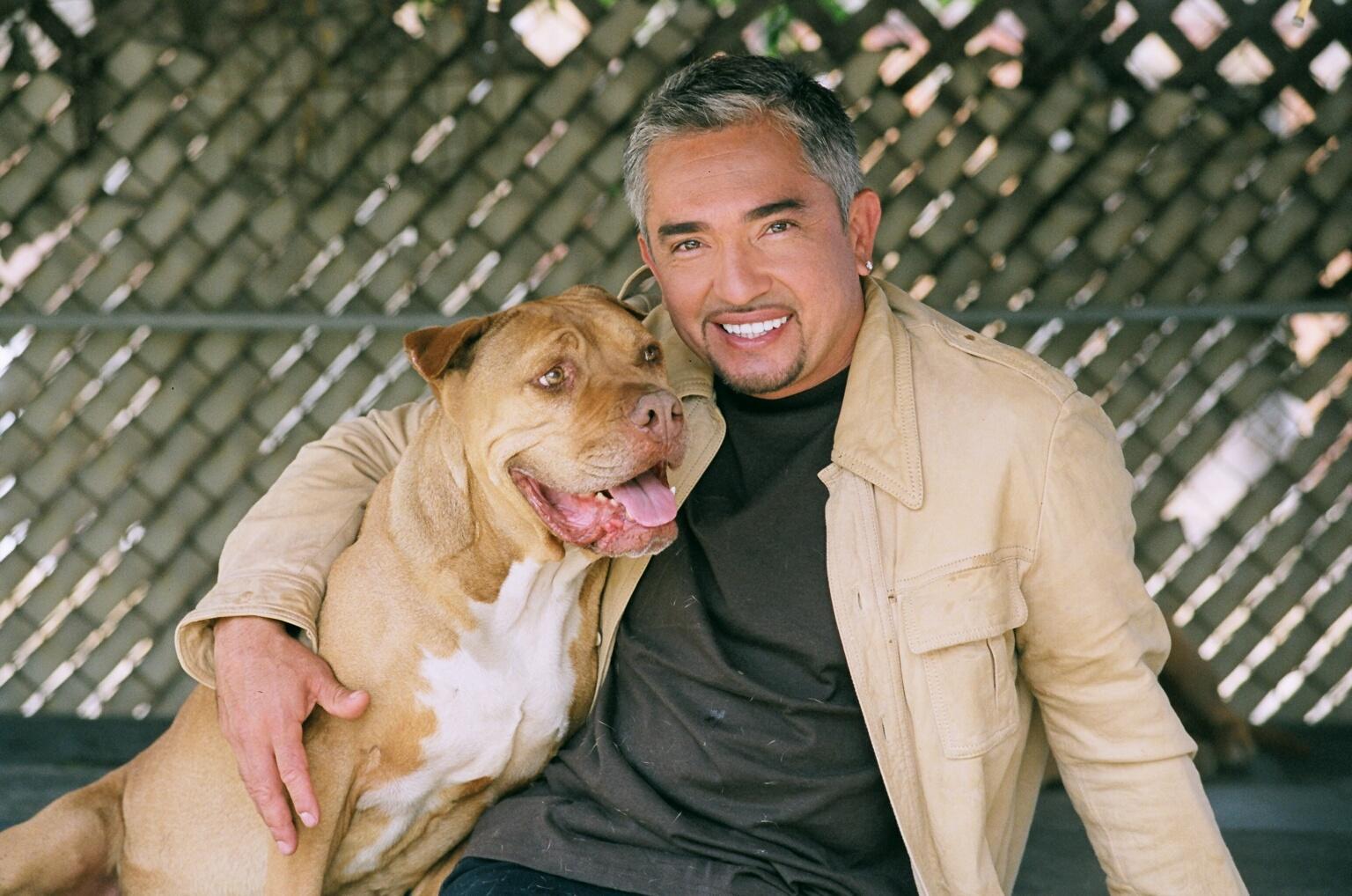 Classify Cesar Millan the dog whisperer