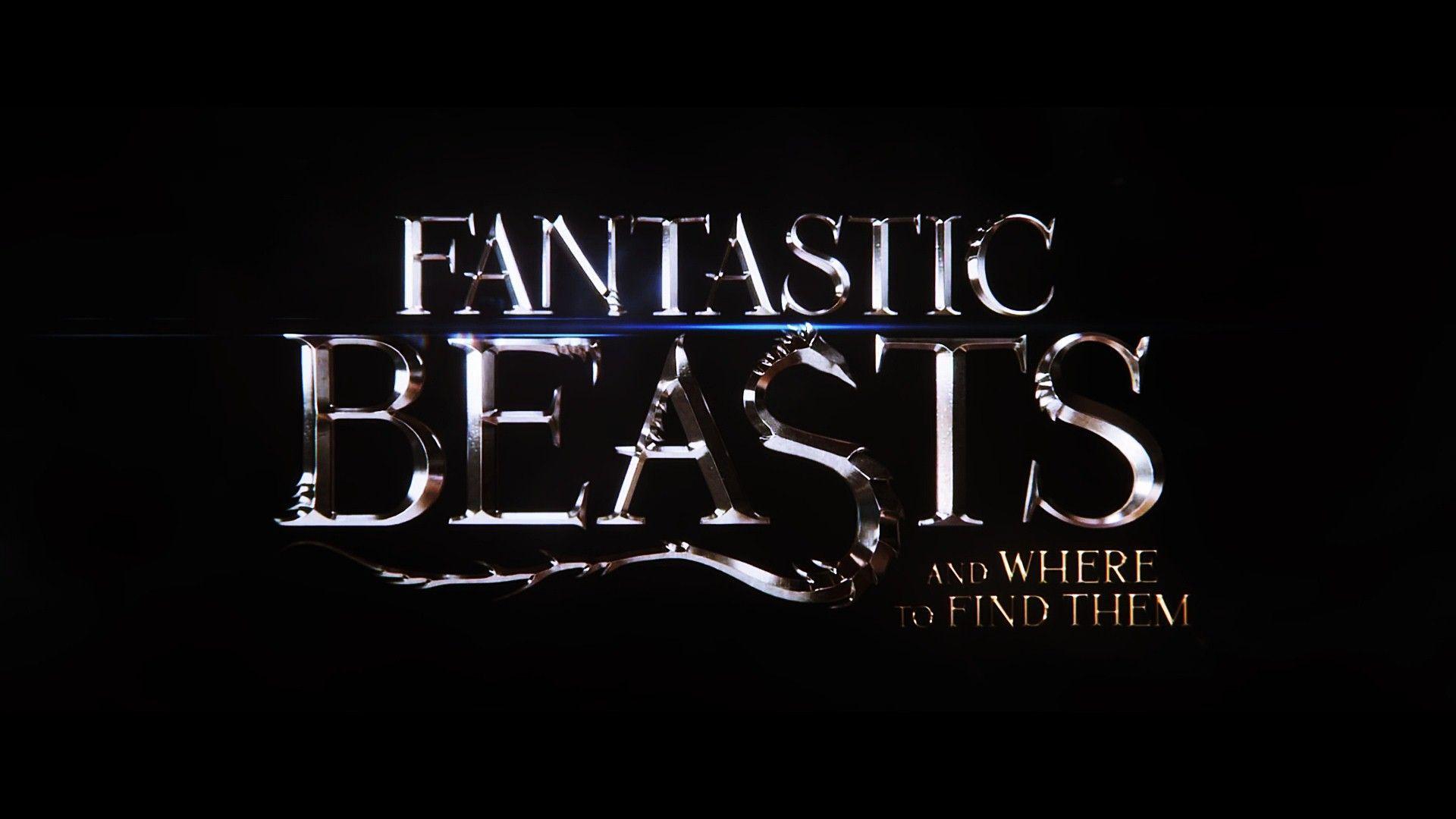 Fantastic Beasts And Where To Find Them Wallpapers HD Backgrounds