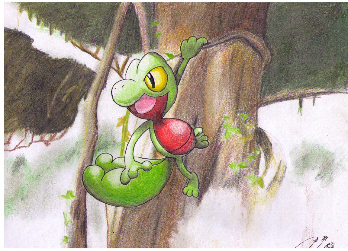 Treecko, Grovyle, and Sceptile on Hoenn