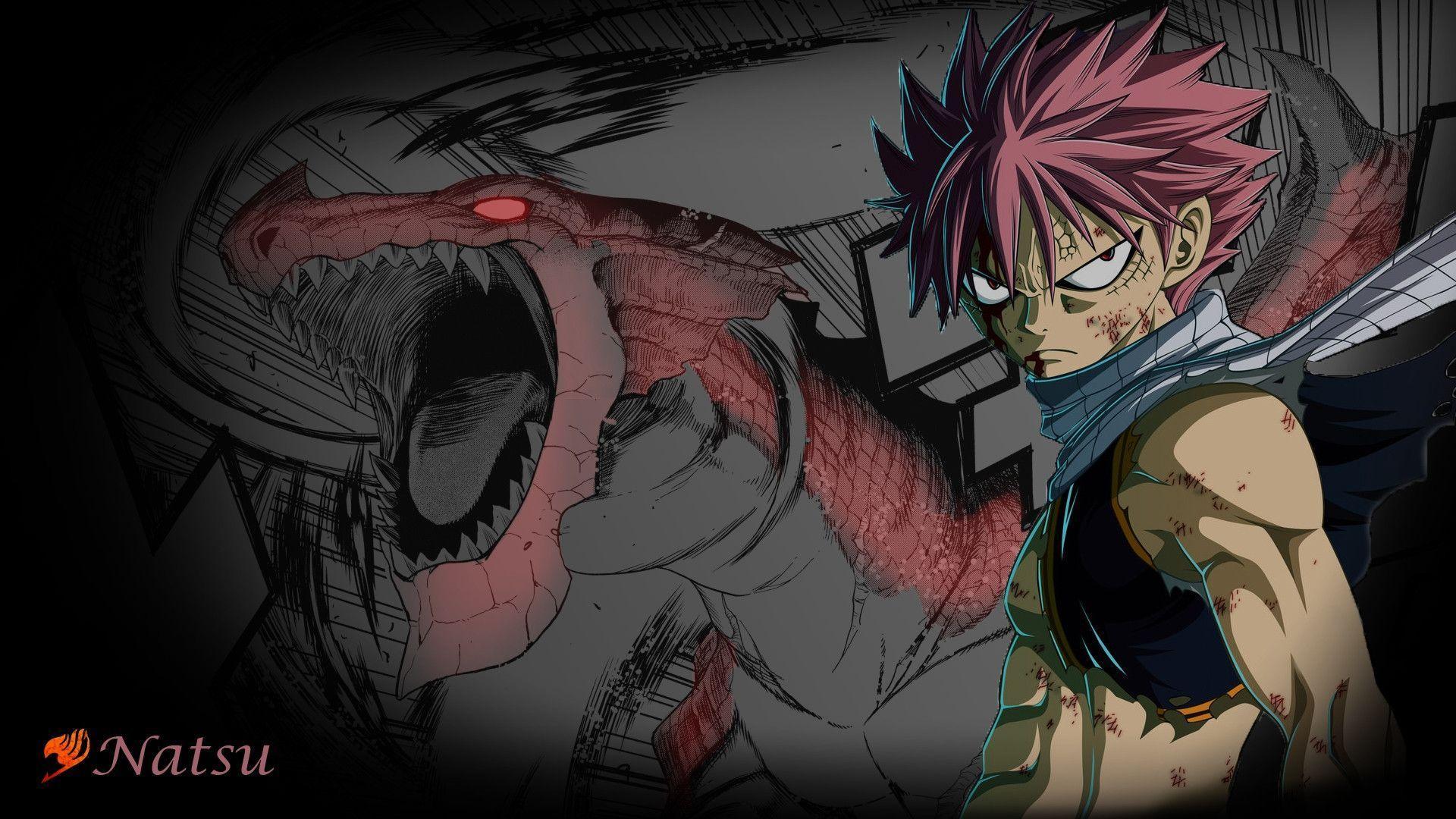 Fairy Tail wallpapers 36