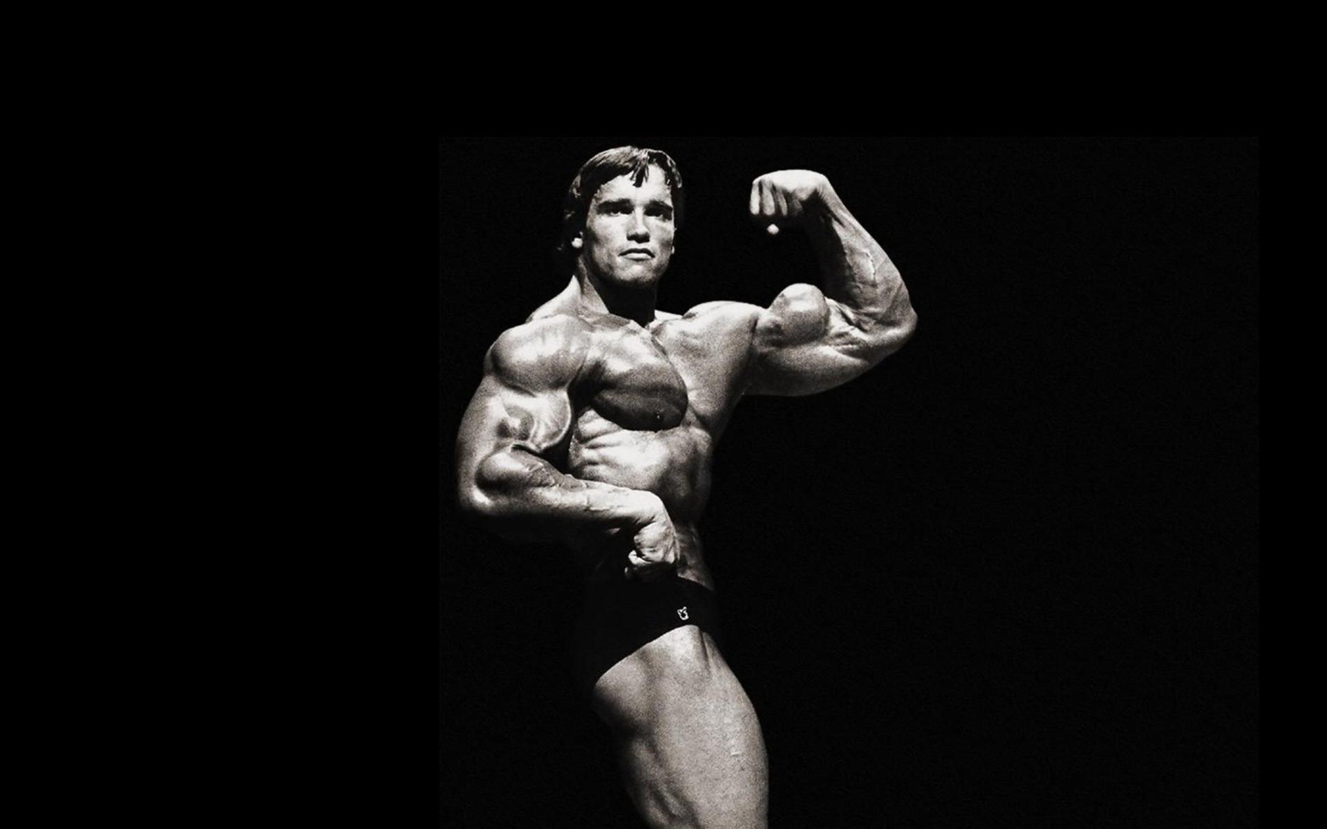 69+ Arnold Schwarzenegger Wallpapers