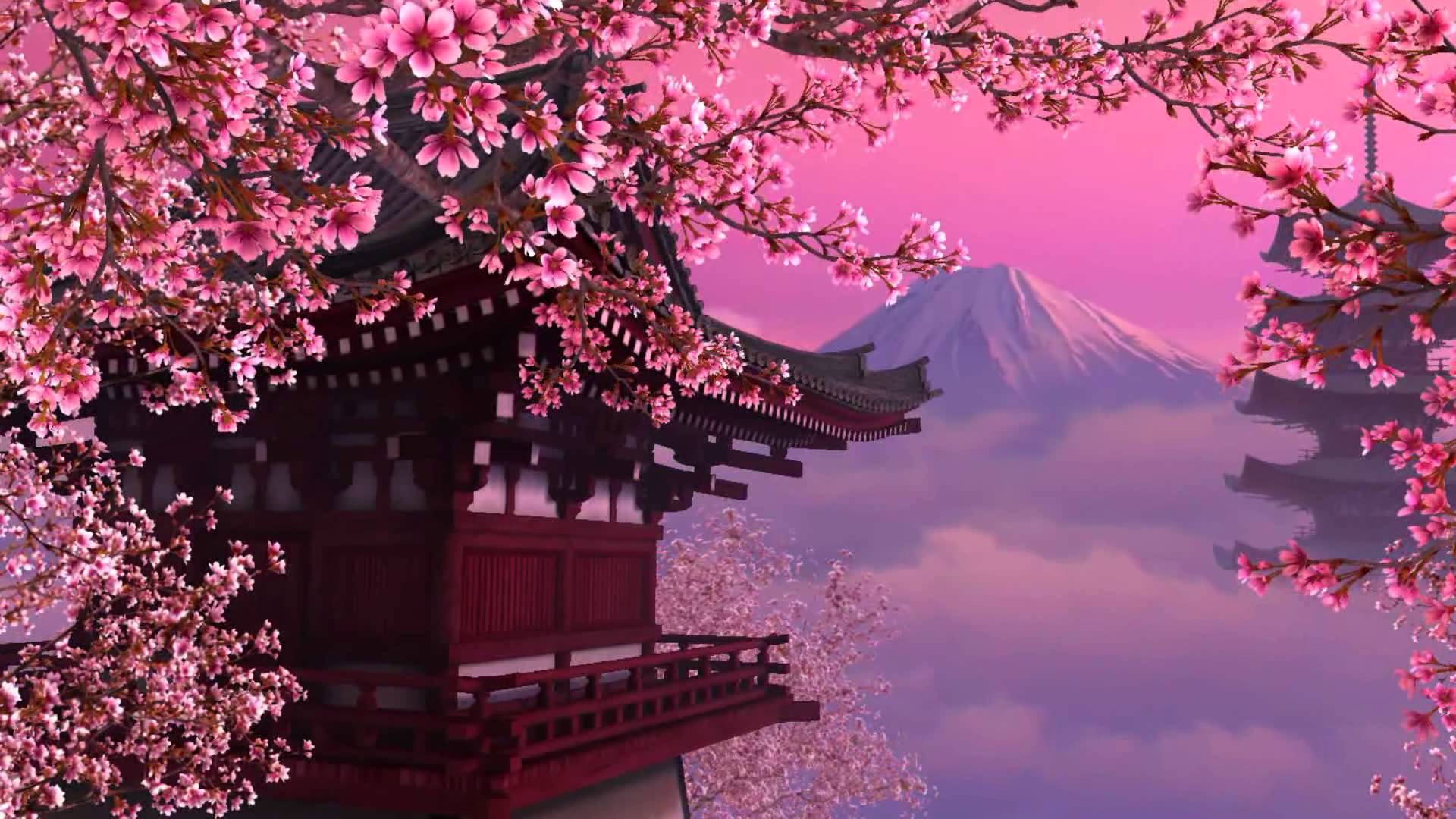 15397 wallpapers japan cherry blossoms