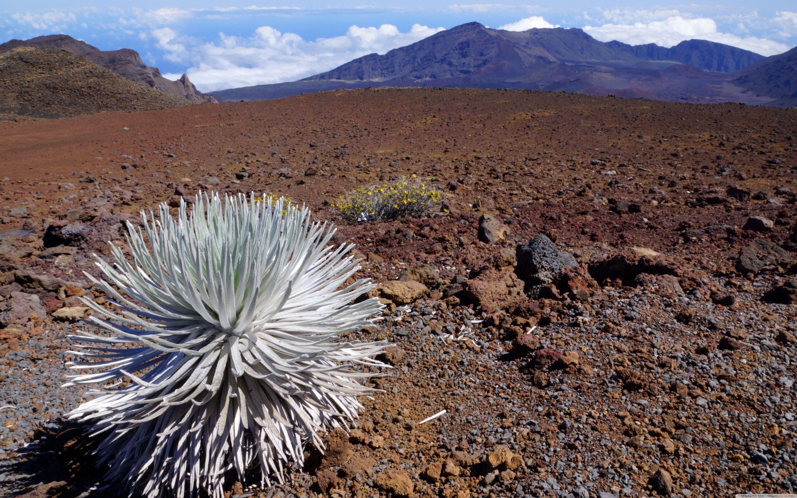 Haleakala National Park, Maui, Hawaii ❤ 4K HD Desktop Wallpapers