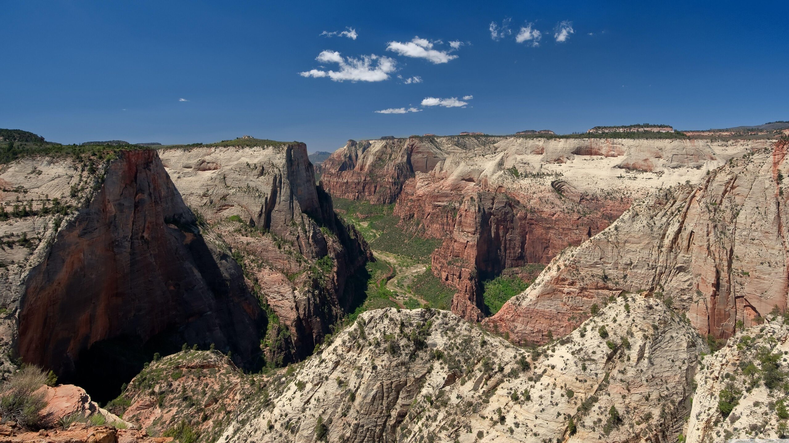 Zion National Park Observation Point HD desktop wallpapers