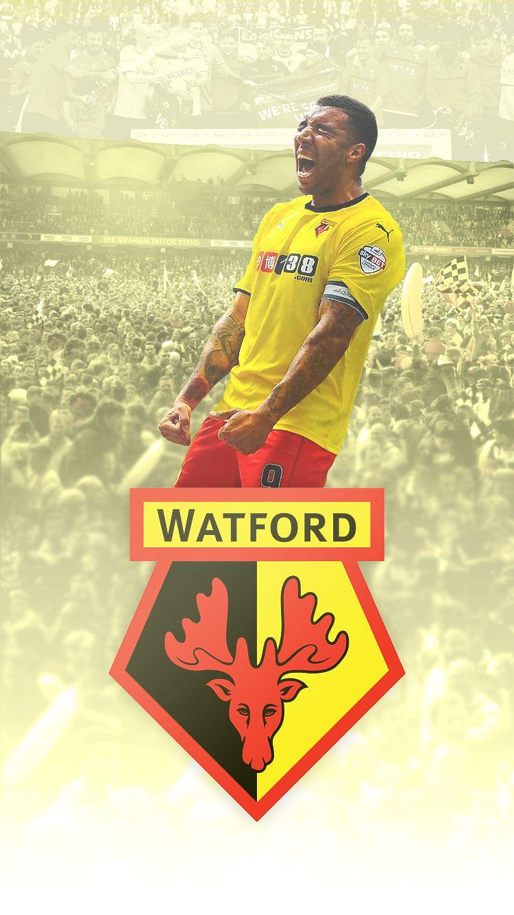 WatfordFC on Behance