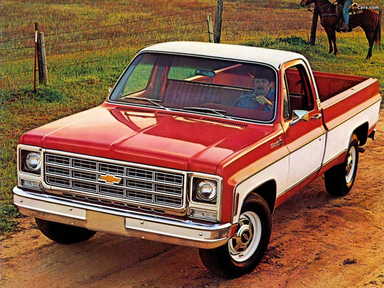 Chevrolet 20 Silverado Fleetside 1979 image