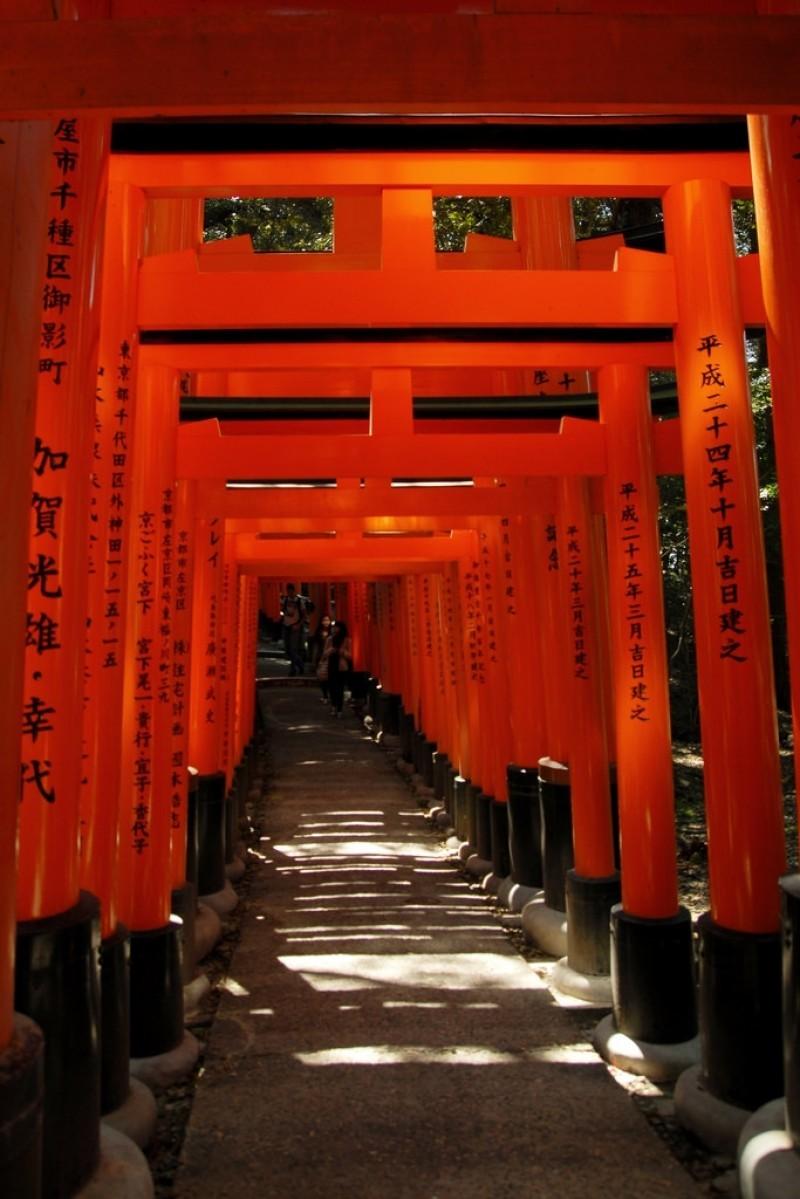 Fushimi Inari Taisha 1 Backgrounds Image for Free Download