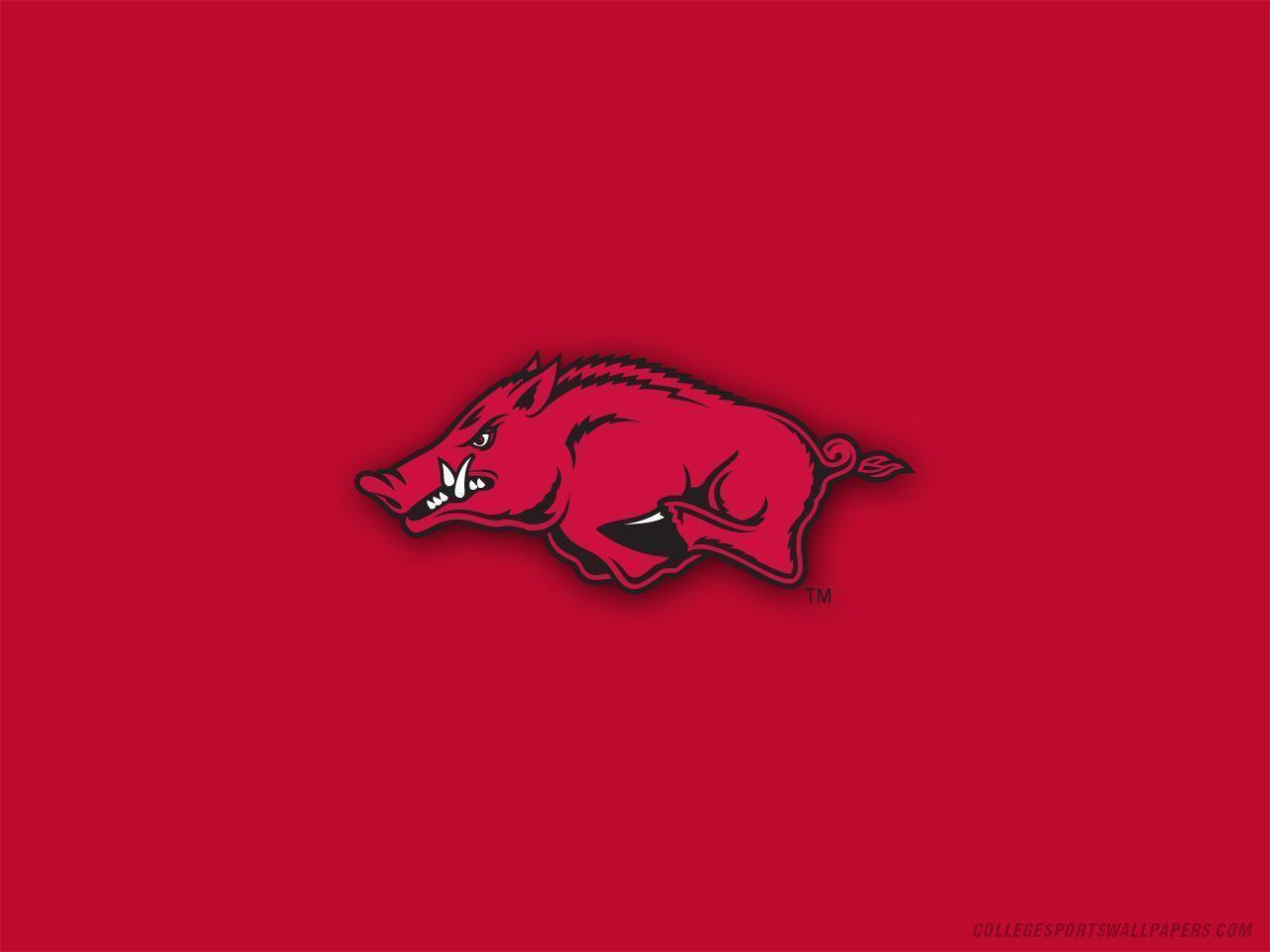 Razorback Wallpapers