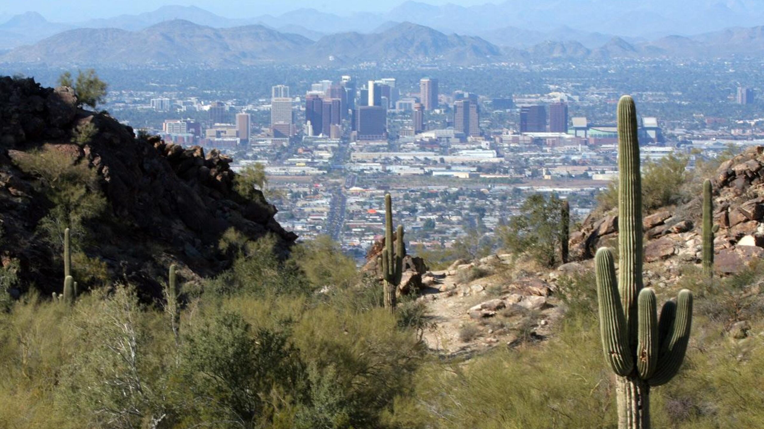 Earth City Cactus Desert Phoenix Arizona HD Wallpapers, Desktop