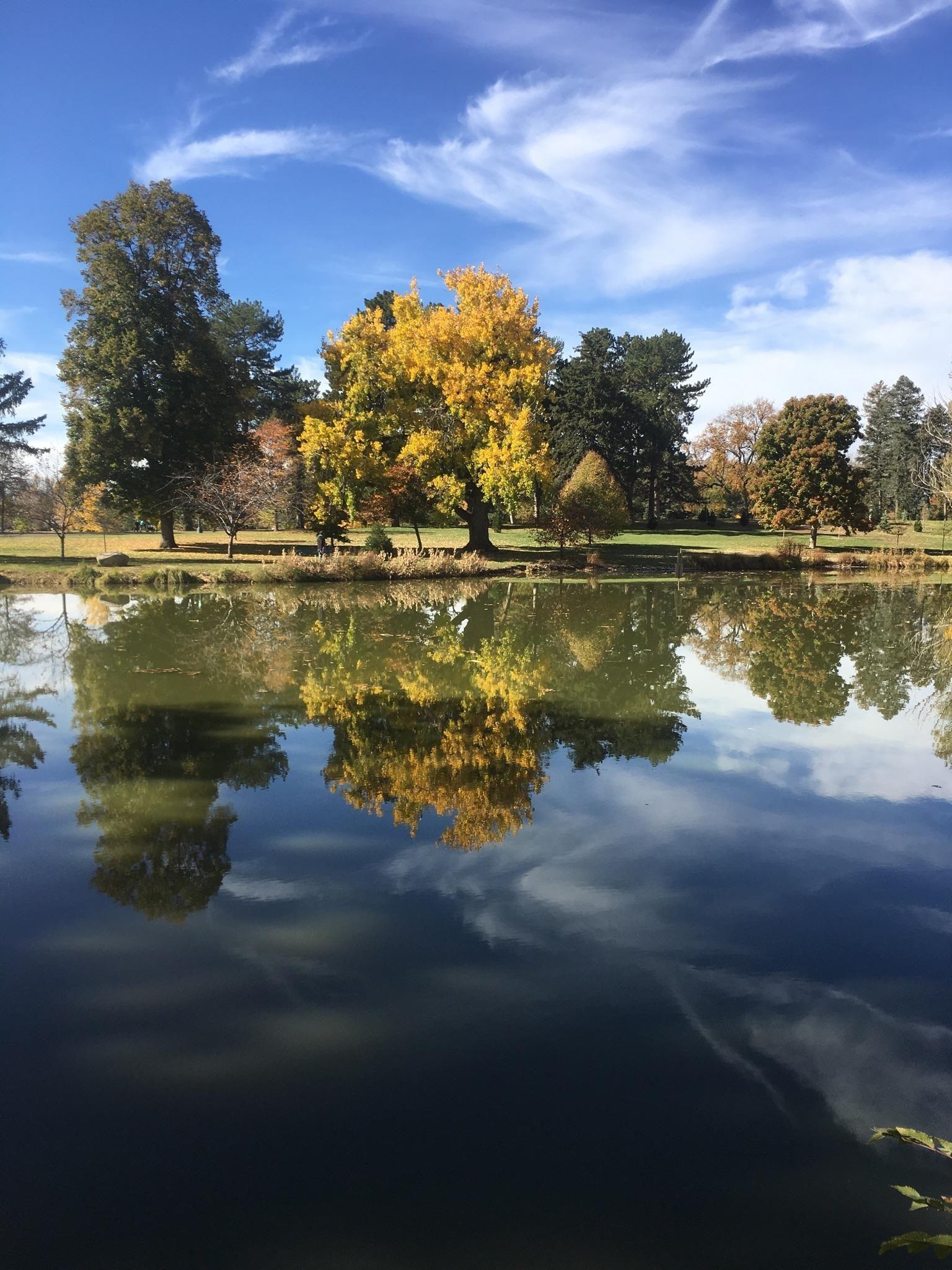 Washington Park In Denver Colorado [] [OC]. wallpapers