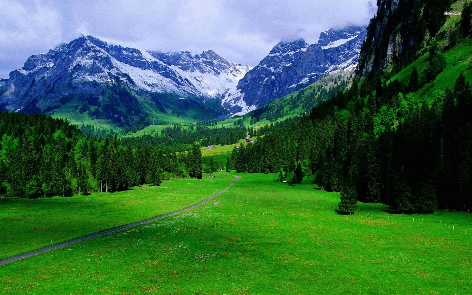 The Alps In Switzerland Nature Wallpapers Free