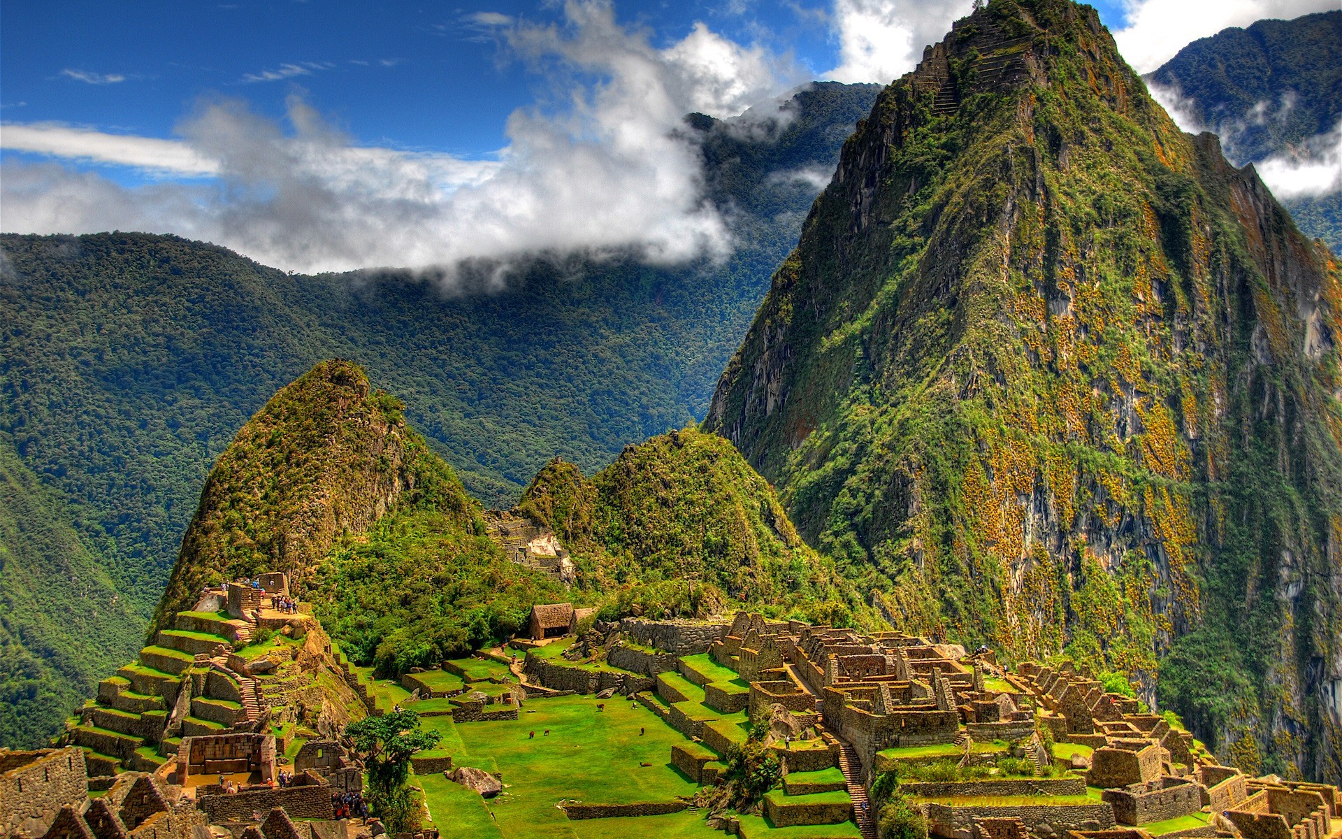 Machu Picchu Wallpapers