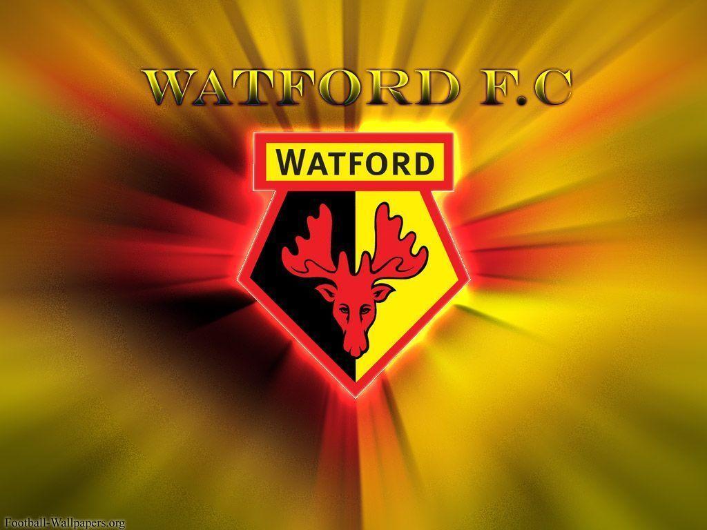 Watford FC Wallpapers