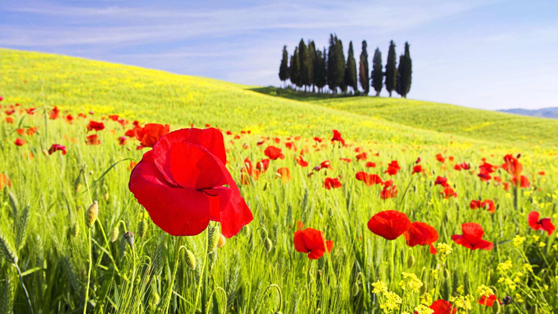 Tuscany Wallpapers