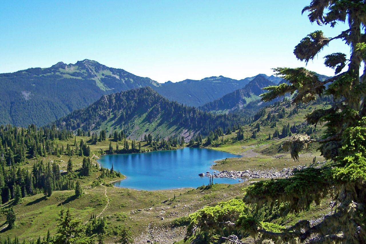 px Olympic National Park