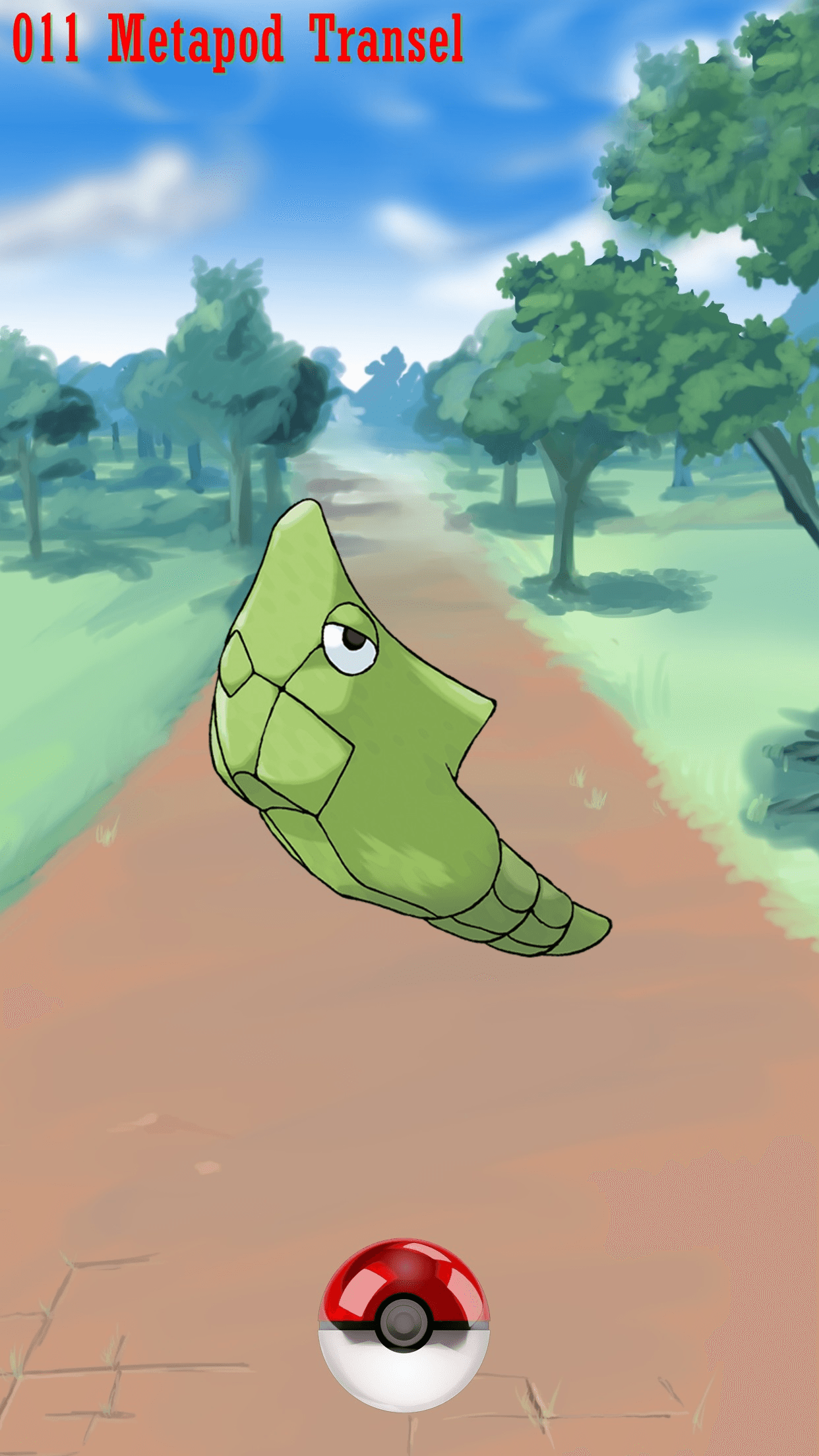 011 Street Pokeball Metapod Transel