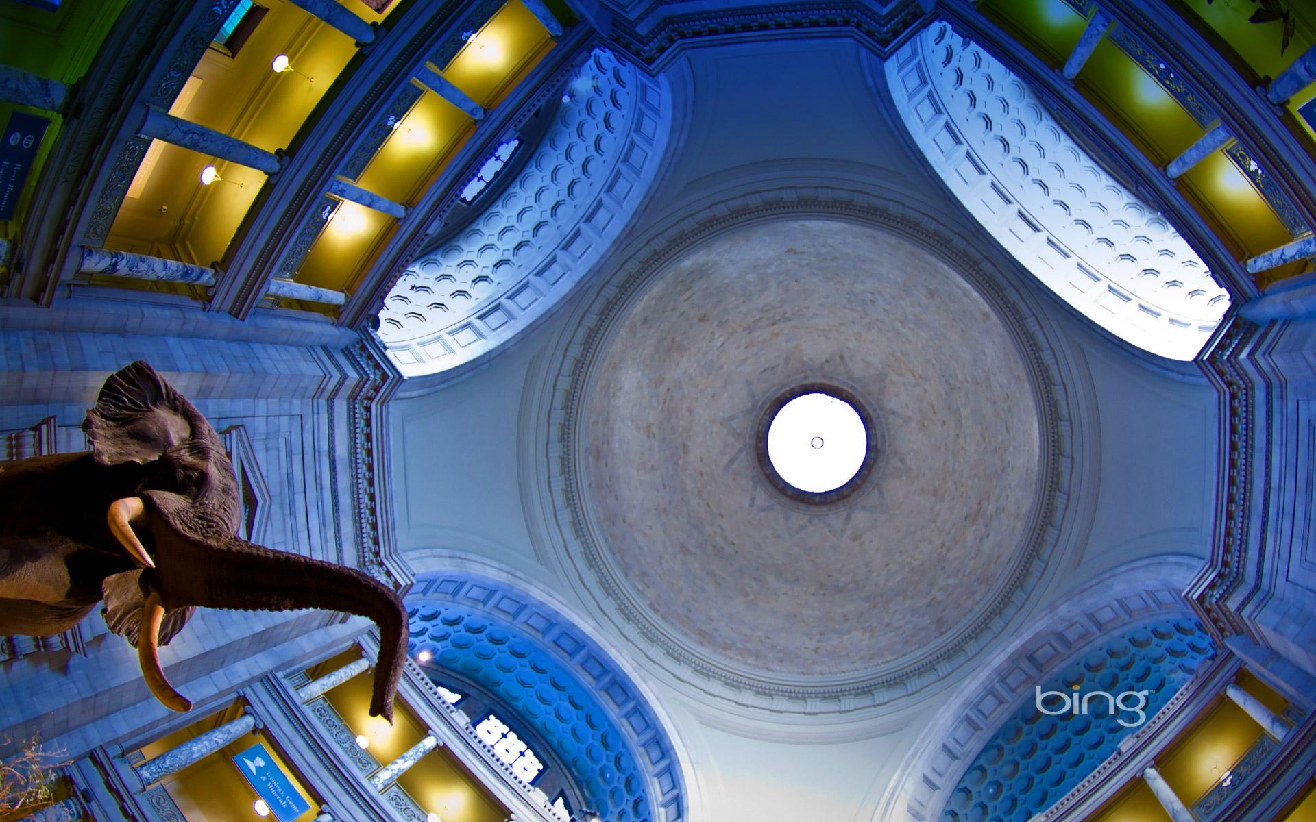 Rotunda of the Smithsonian Institution National Museum of Natural