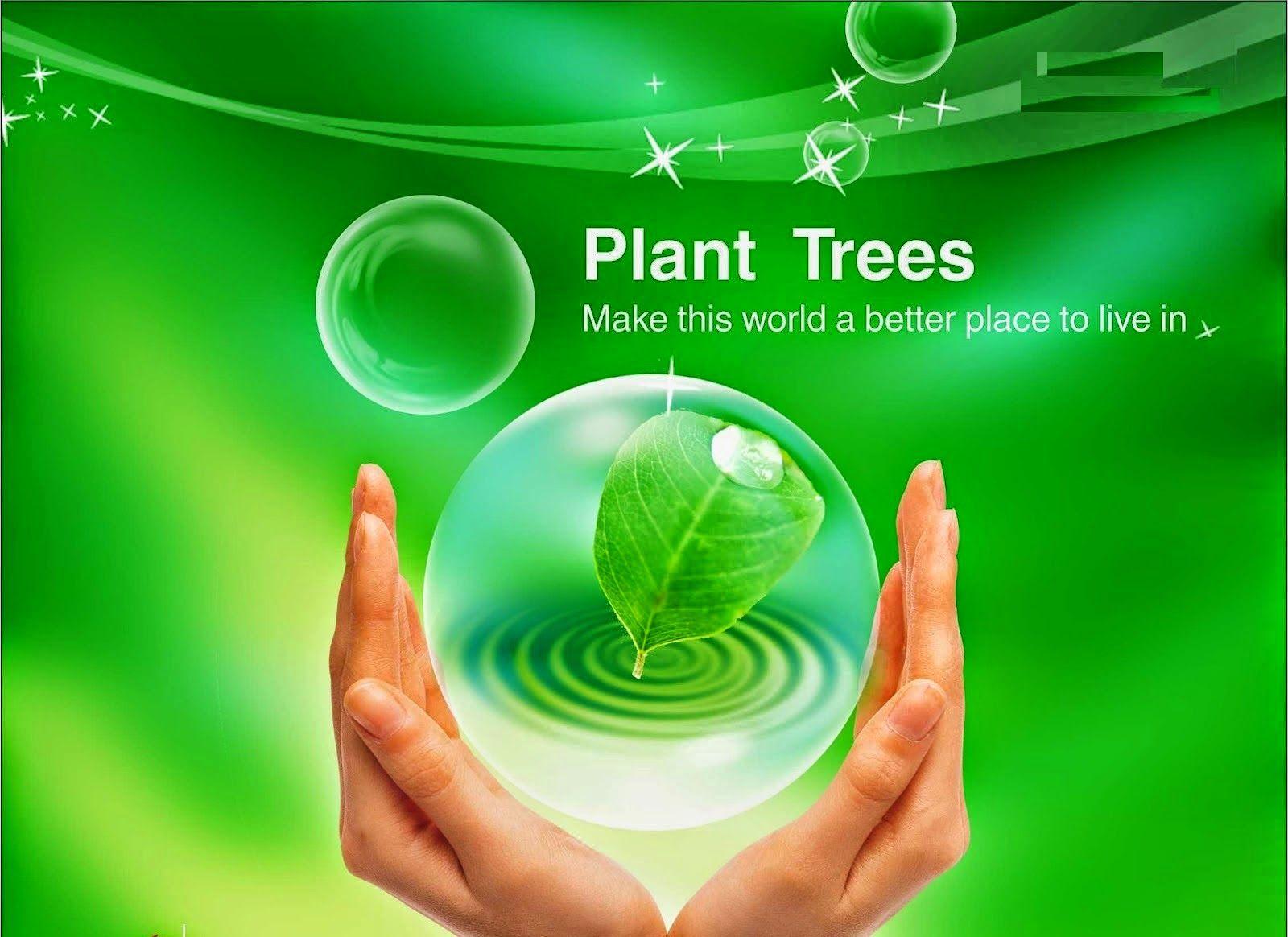 Environment Day Wallpapers