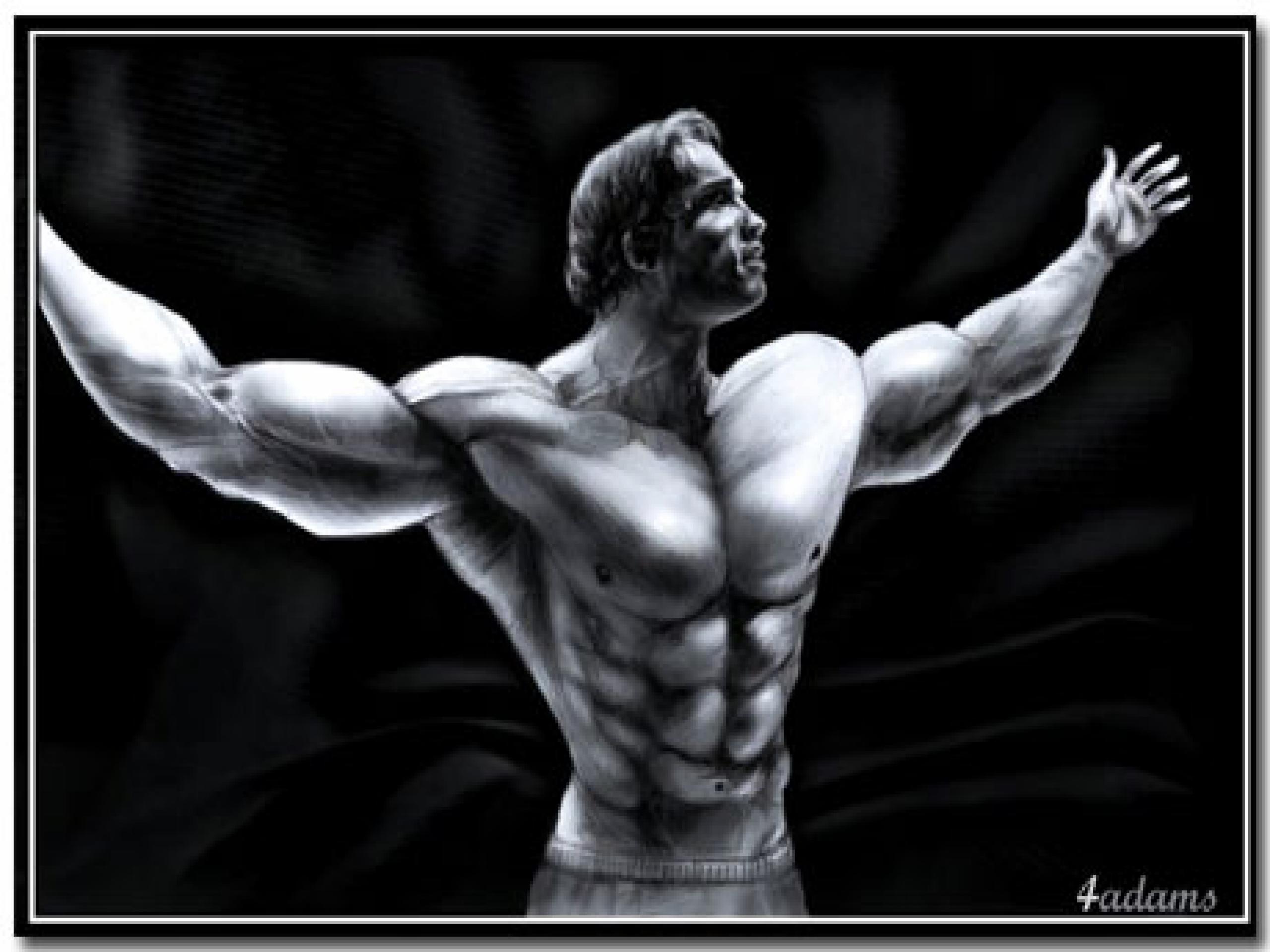 Arnold Schwarzenegger Wallpapers 0.02 Mb