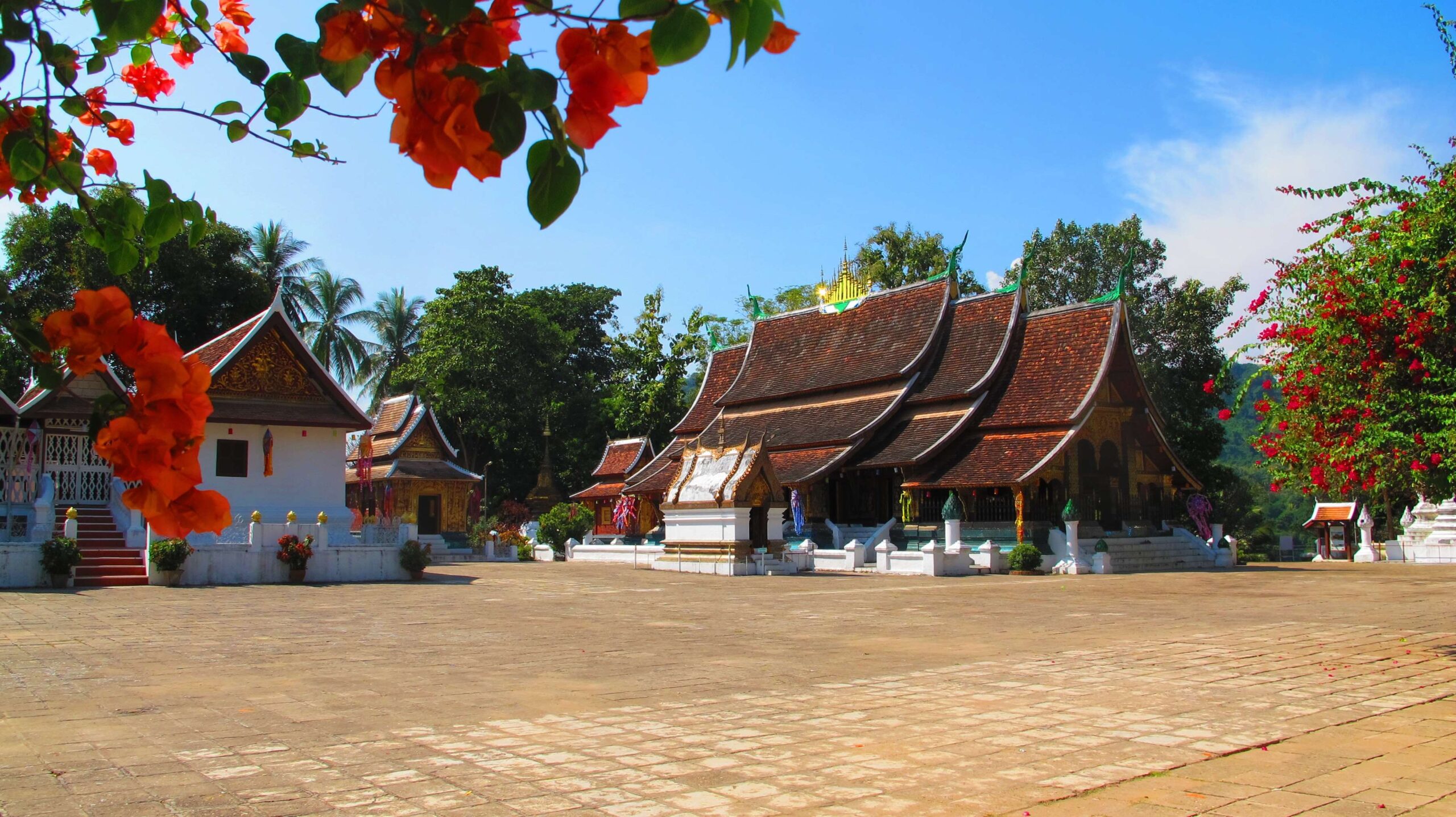 buddhist, buddhist temple, golden city, golden tree monastery, lane