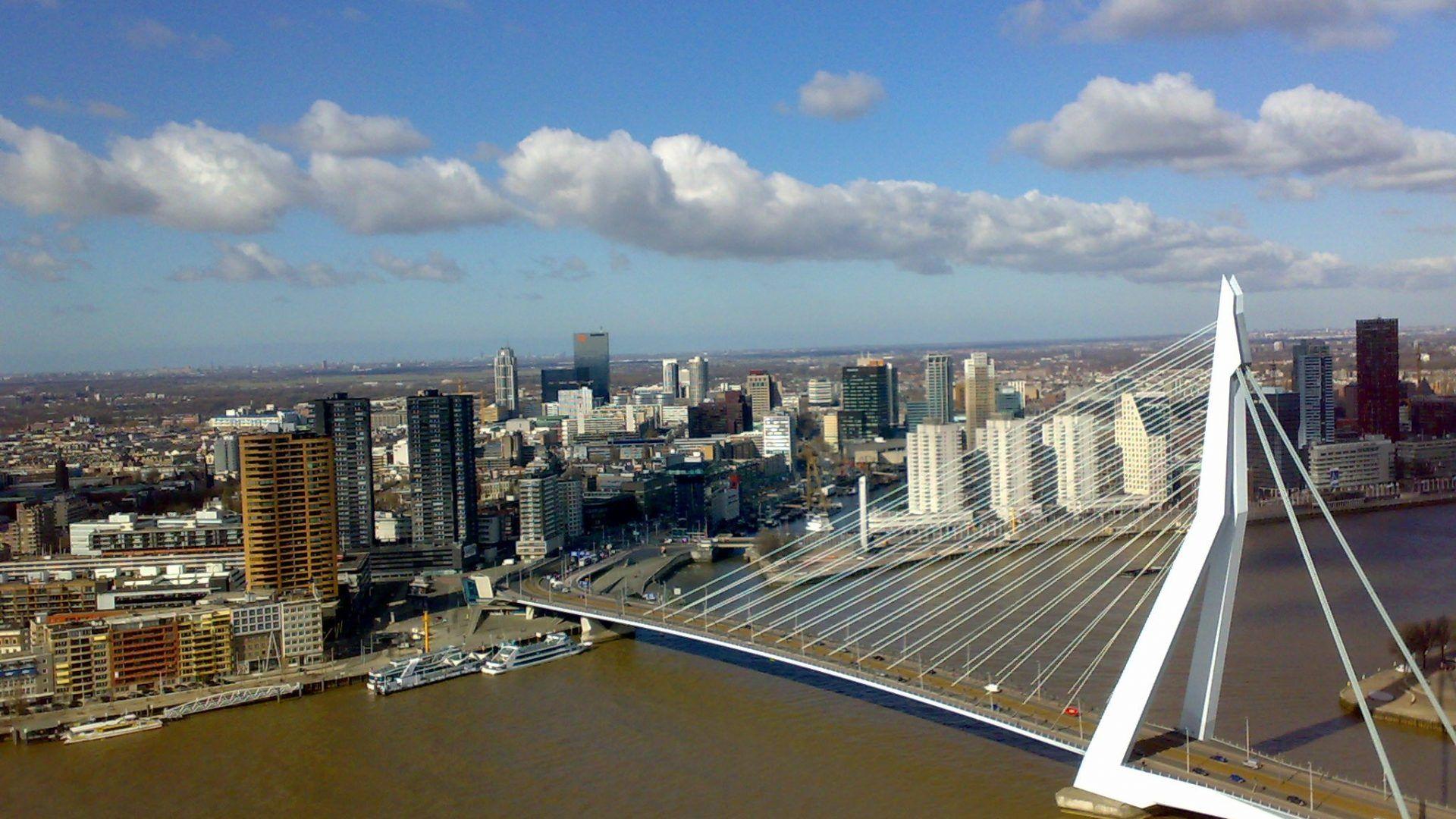 Erasmus Tag wallpapers: Erasmus Bridge Rotterdam Vieuw 1080p