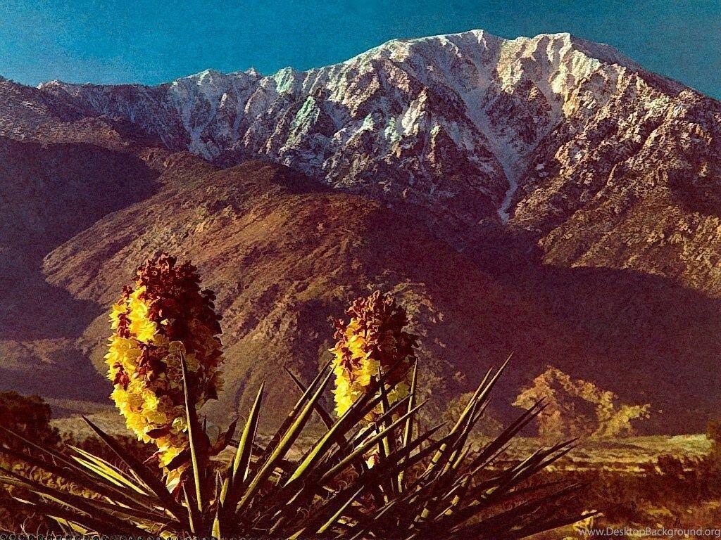 Mt San Jacinto Southern California Nature Wallpapers Image