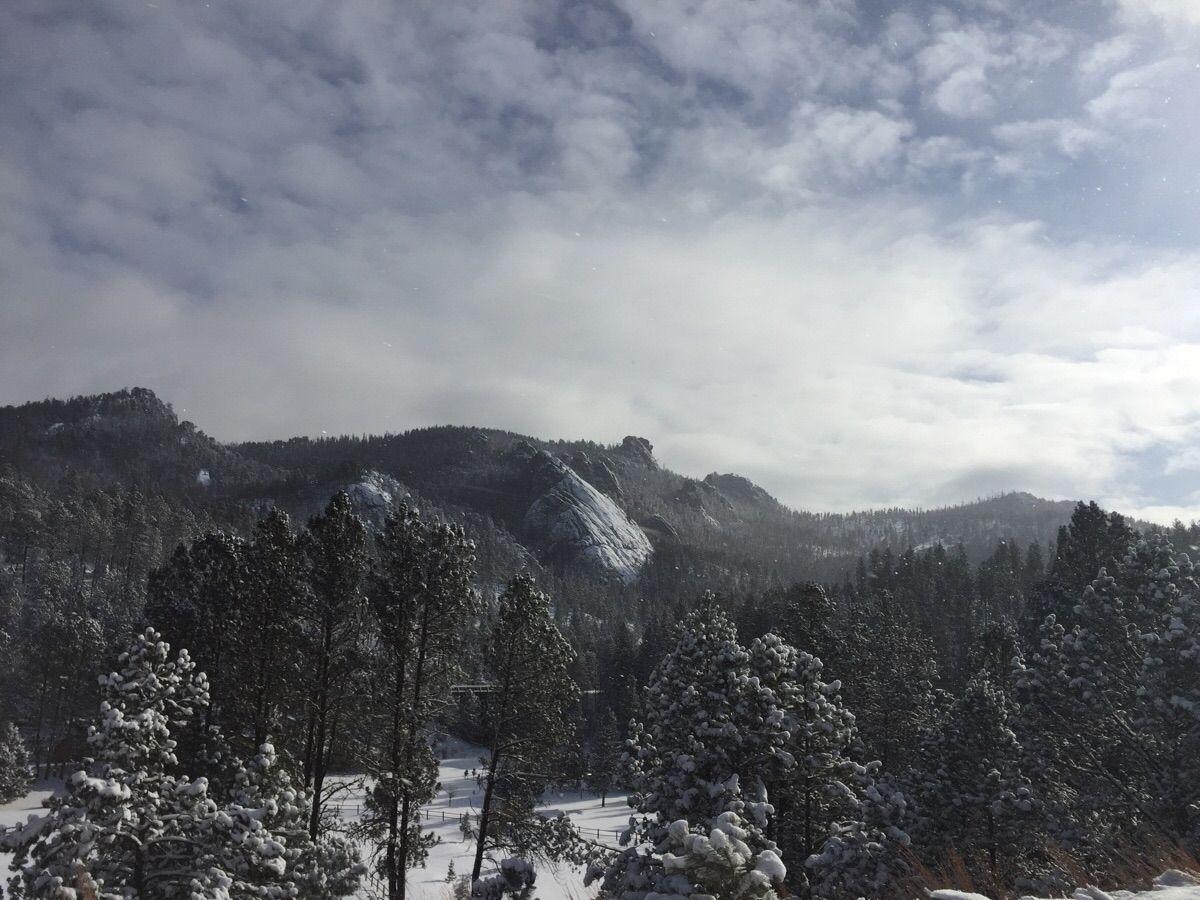 Snow covered Black Hills South Dakota