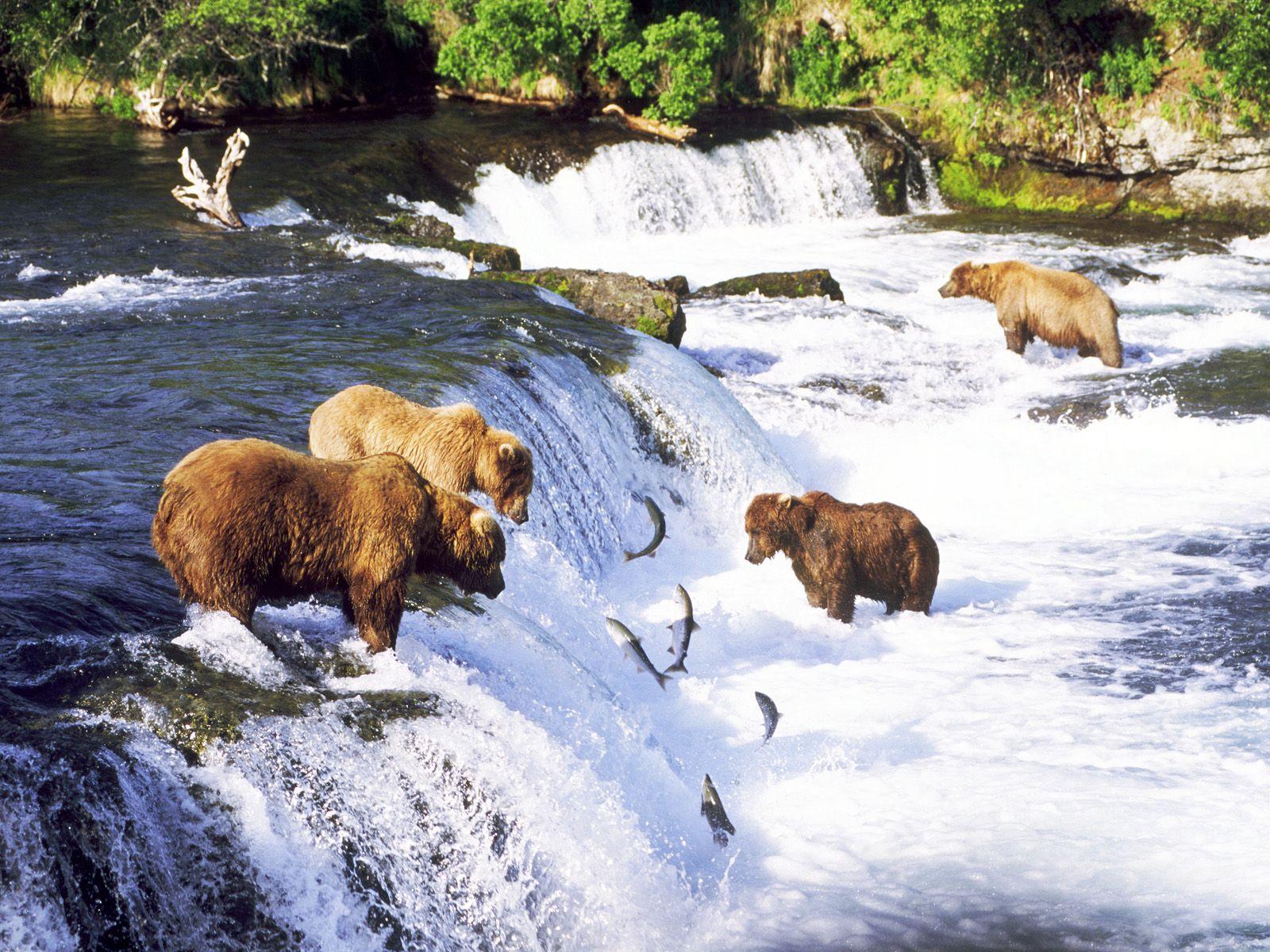 Katmai National Park