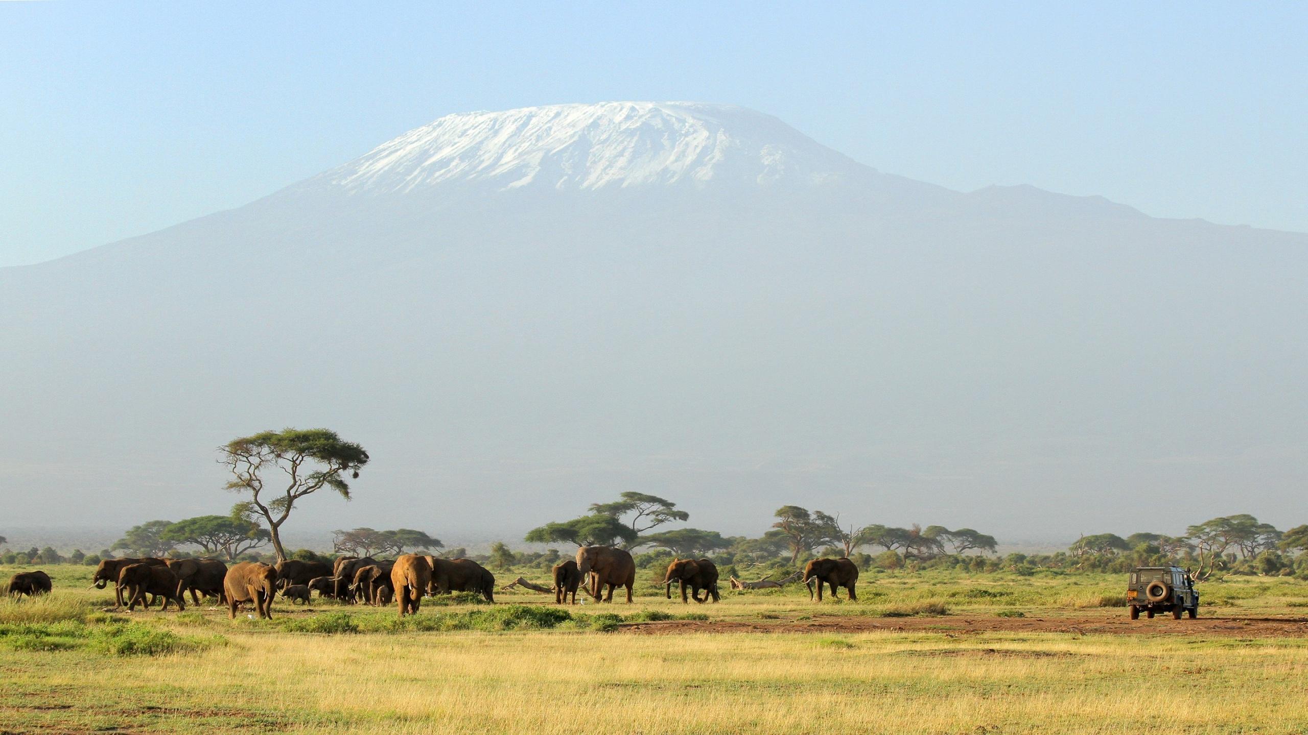 Kilimanjaro Safari HD desktop wallpapers : Widescreen : High