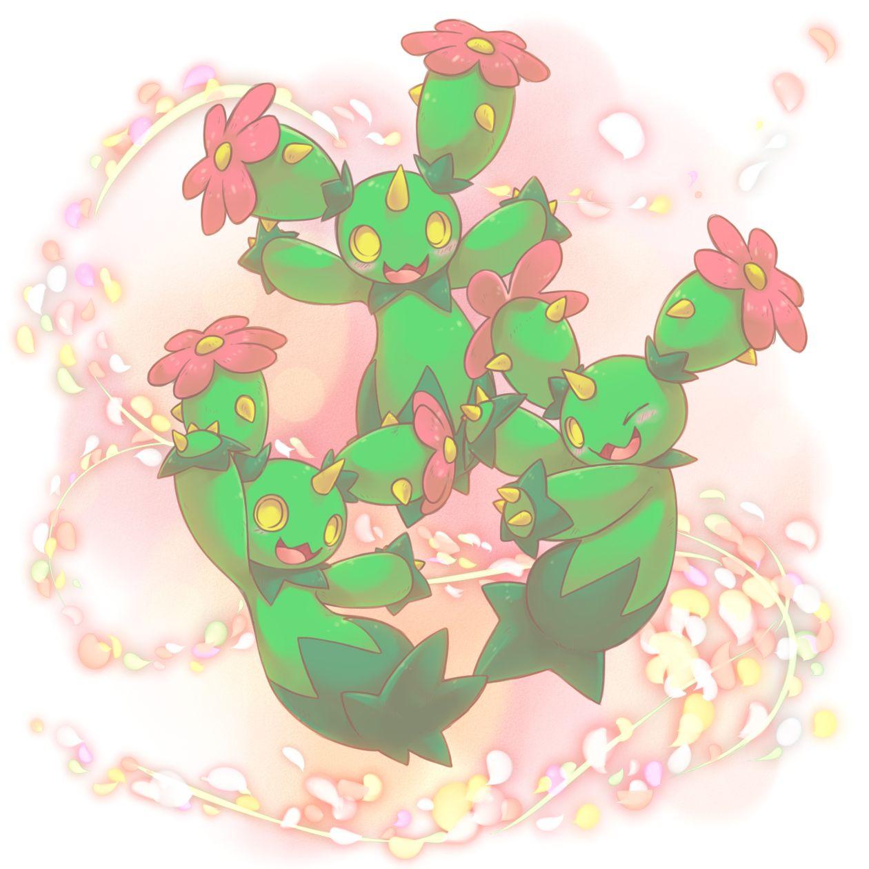 Maractus