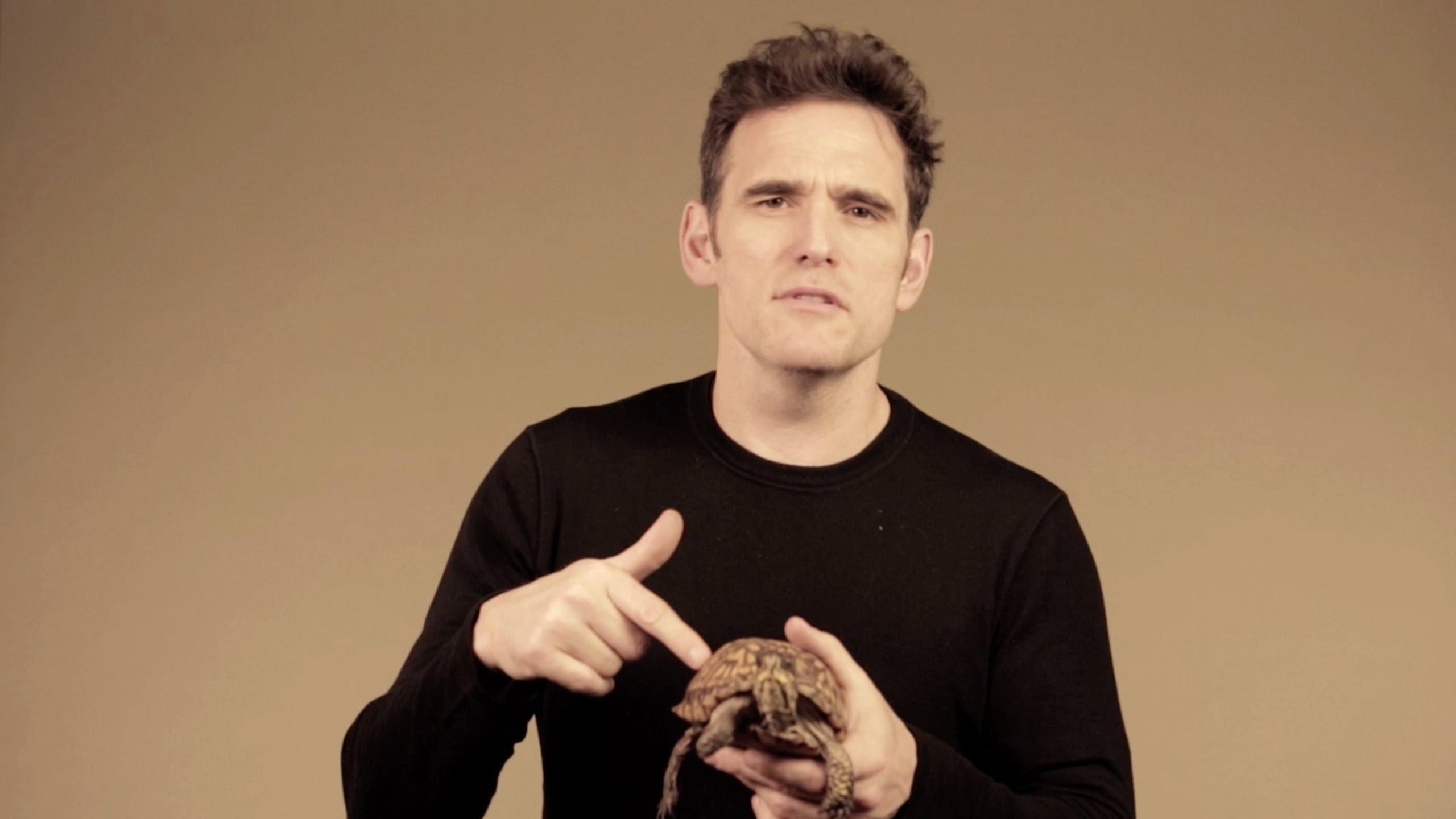 Pictures of Matt Dillon