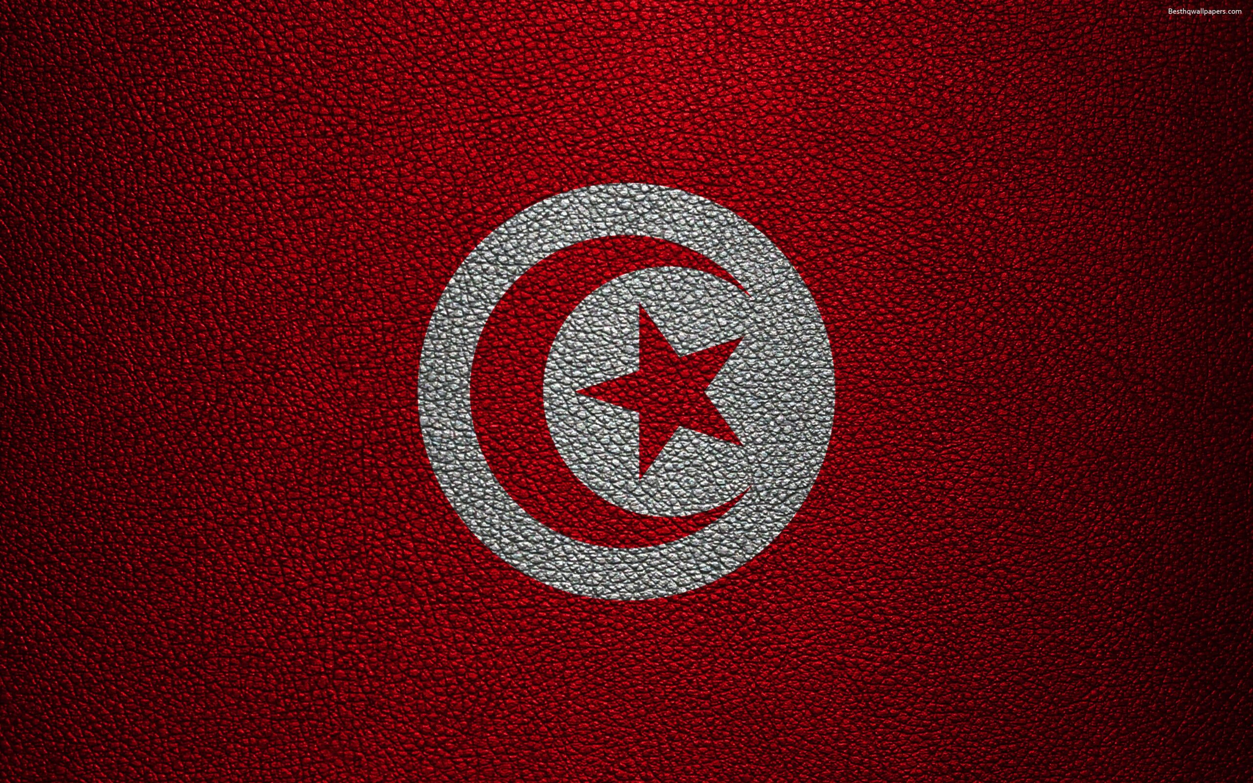 Download wallpapers Flag of Tunisia, Africa, 4k, leather texture