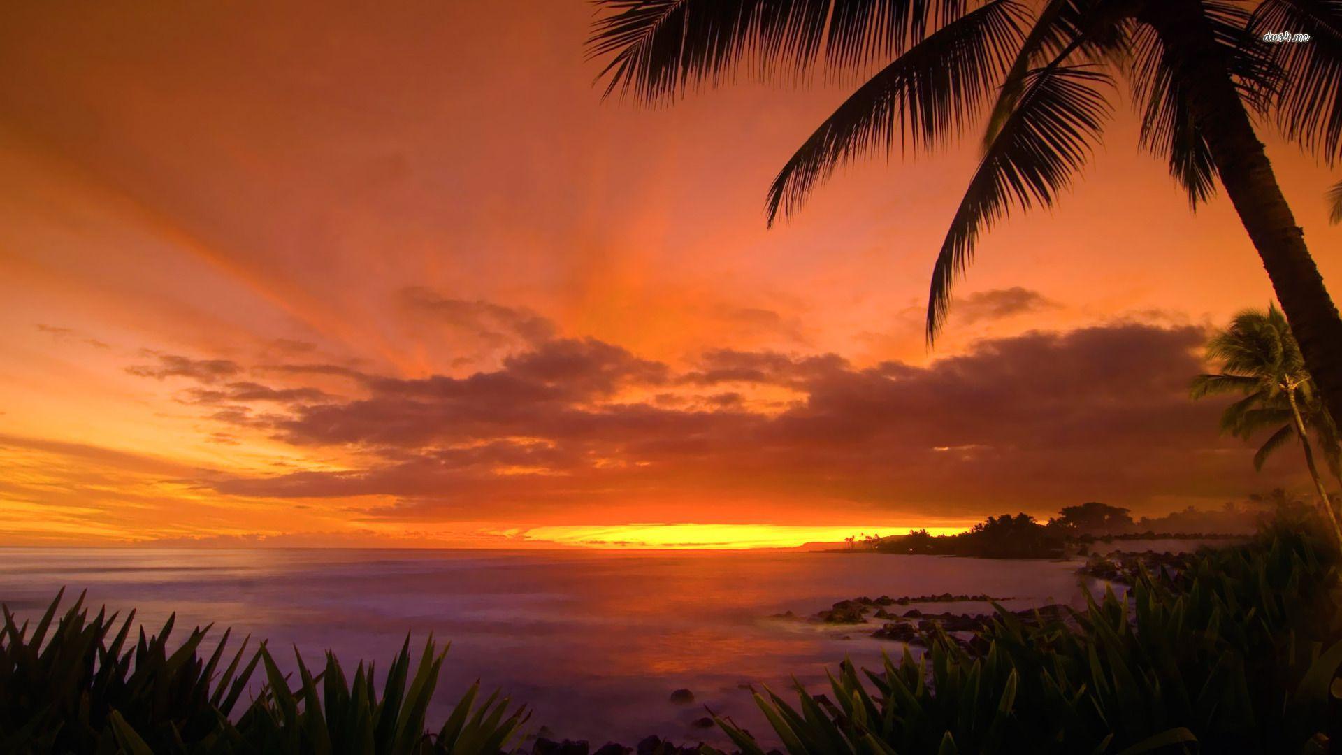 Hawaii Sunset Wallpapers