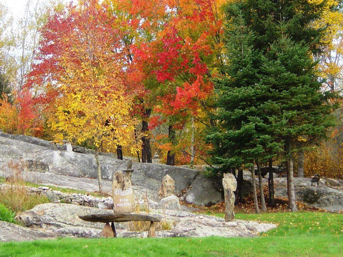 Support Voyageurs National Park in Northern Minnesota