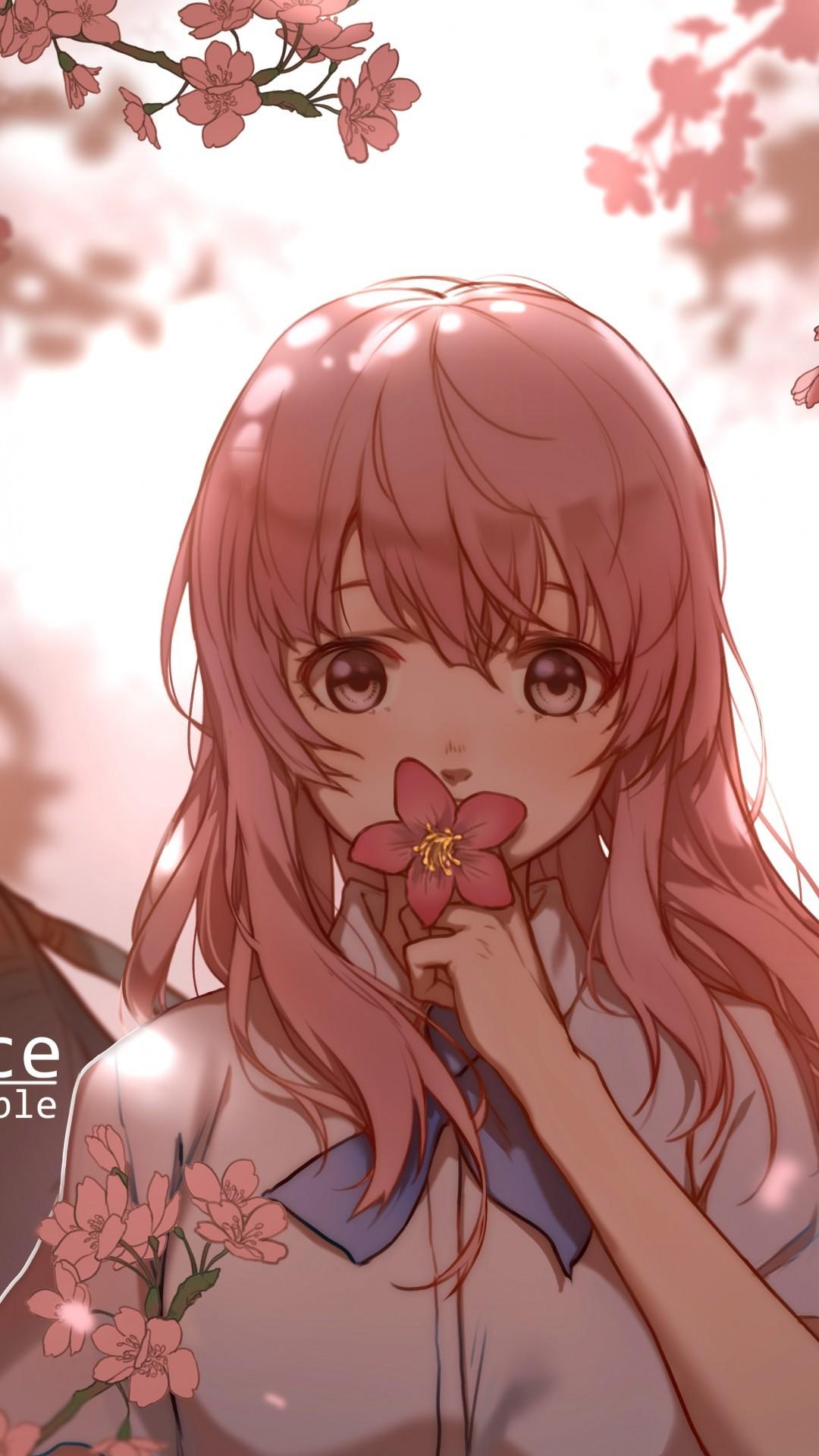 Download Nishimiya Shouko, Koe No Katachi, Cherry Blossom