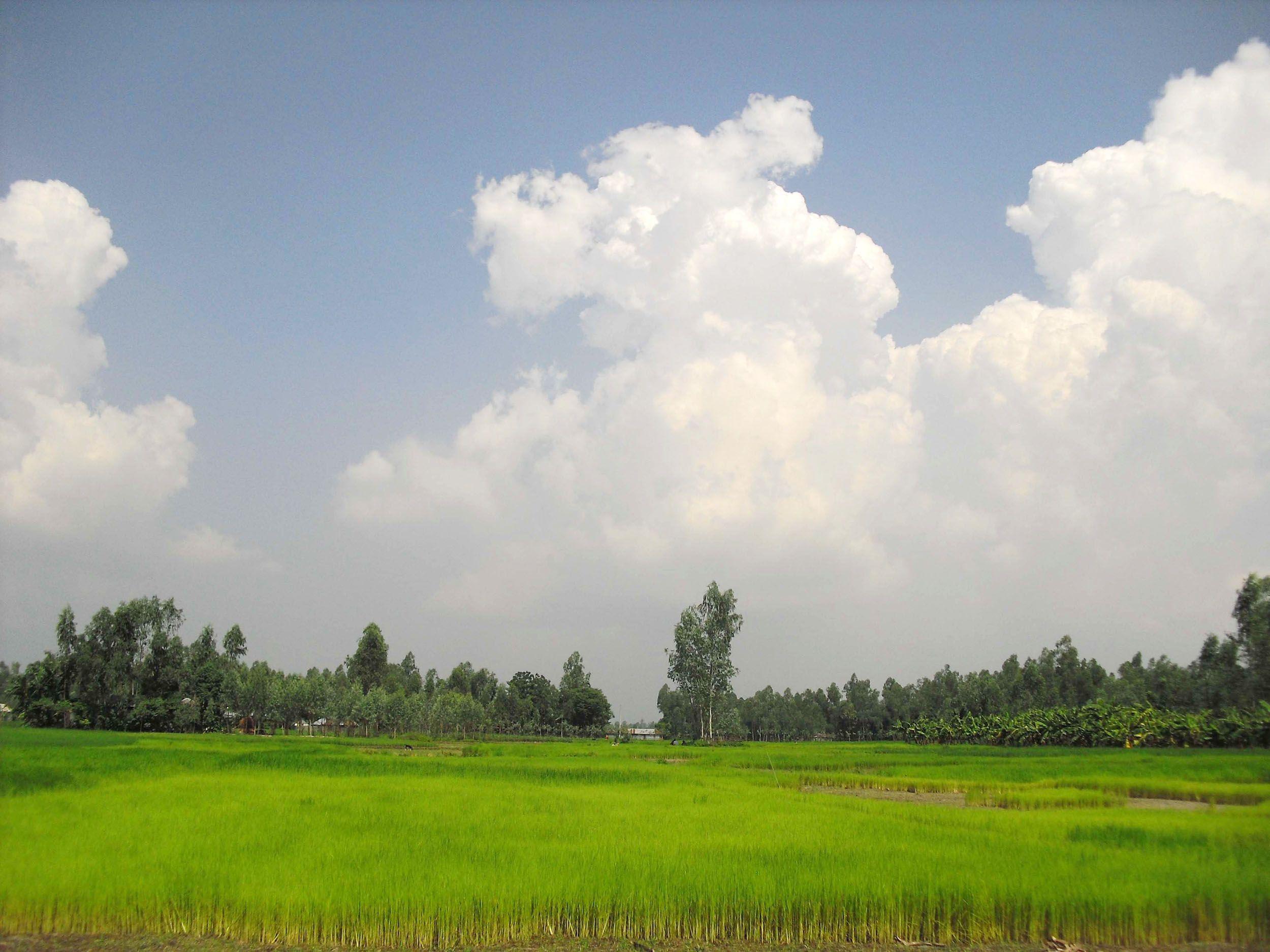 Bangladesh image Village Shanto HD wallpapers and backgrounds