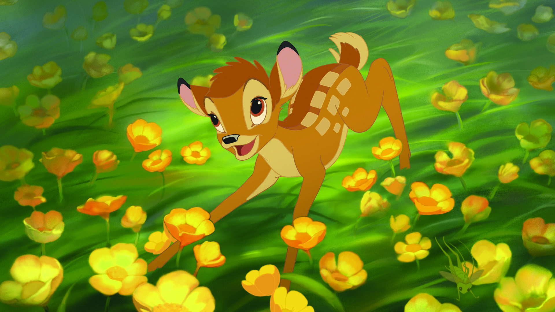 Bambi Wallpapers Wallpapers