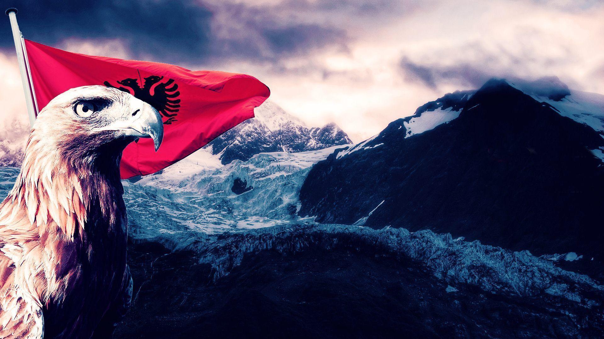 Albania Flag Eagle Art Wallpapers