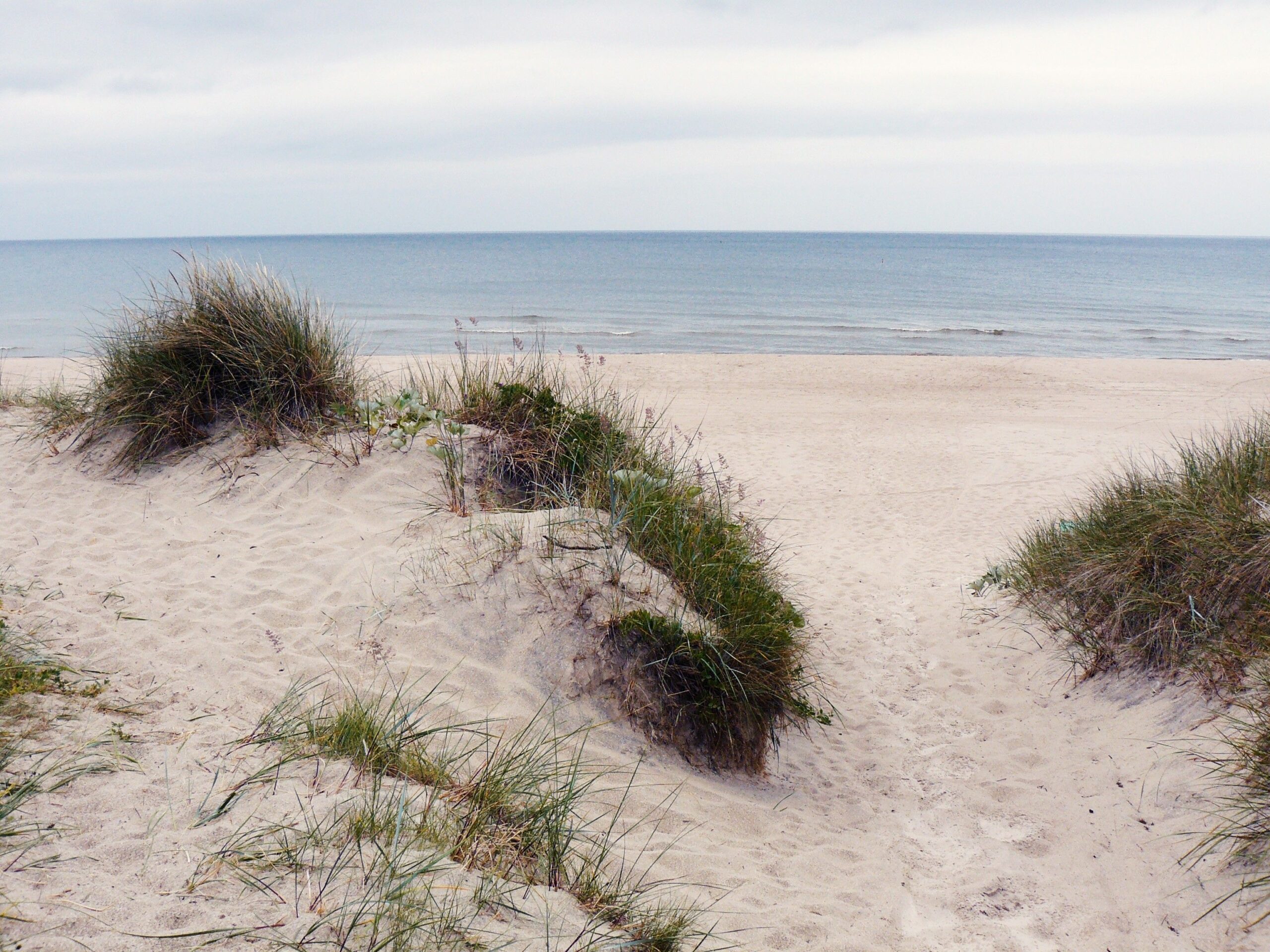 Beaches: Palanga Beach Photography Travel Nature Lithuania Sea