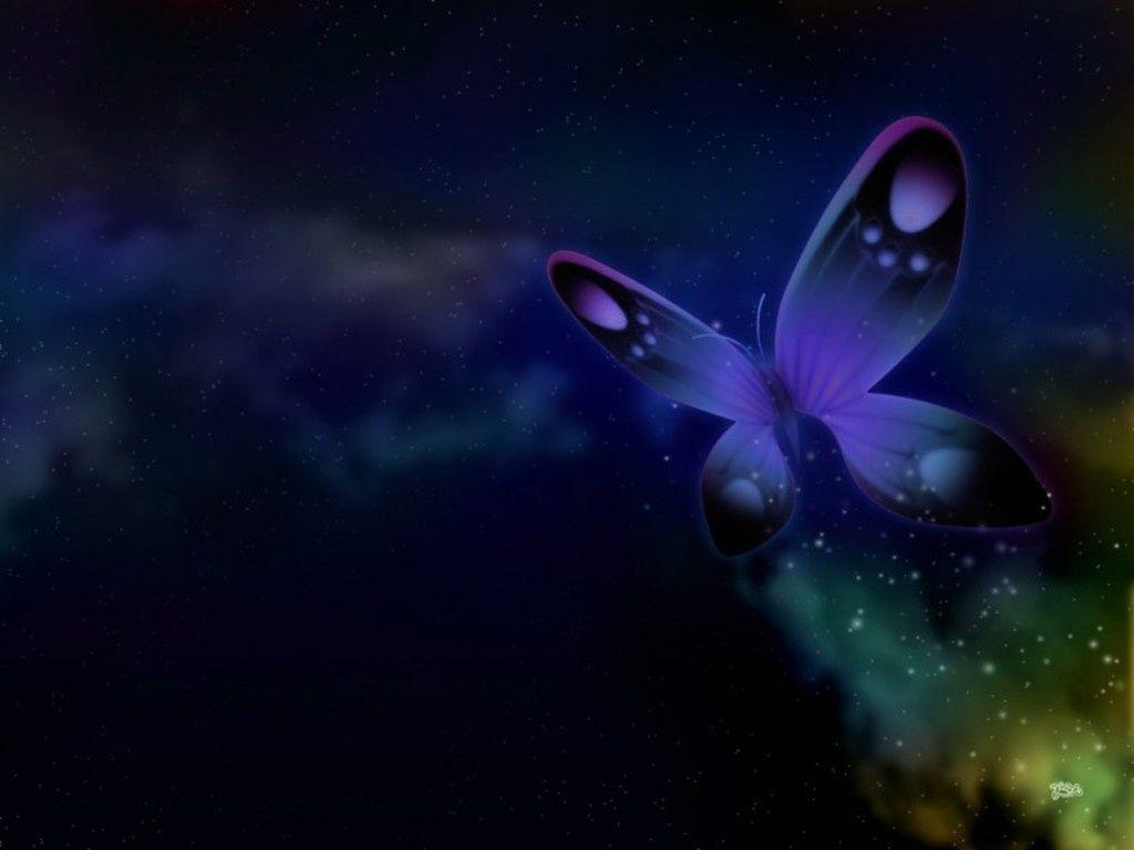 FunMozar – Most Beautiful Butterfly Wallpapers