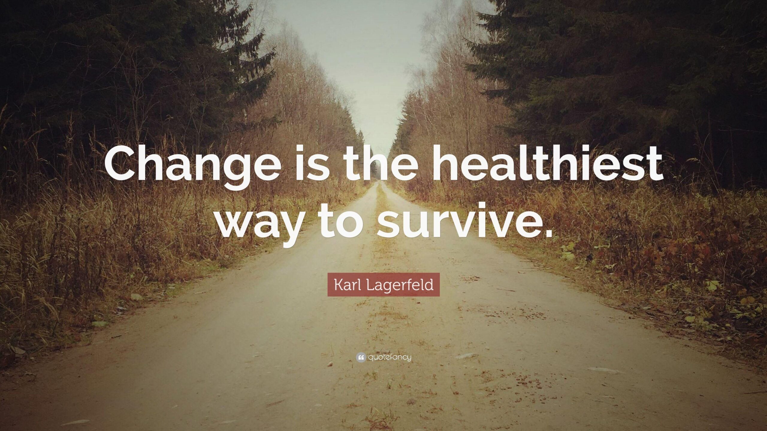 Karl Lagerfeld Quote: “Change is the healthiest way to survive.”