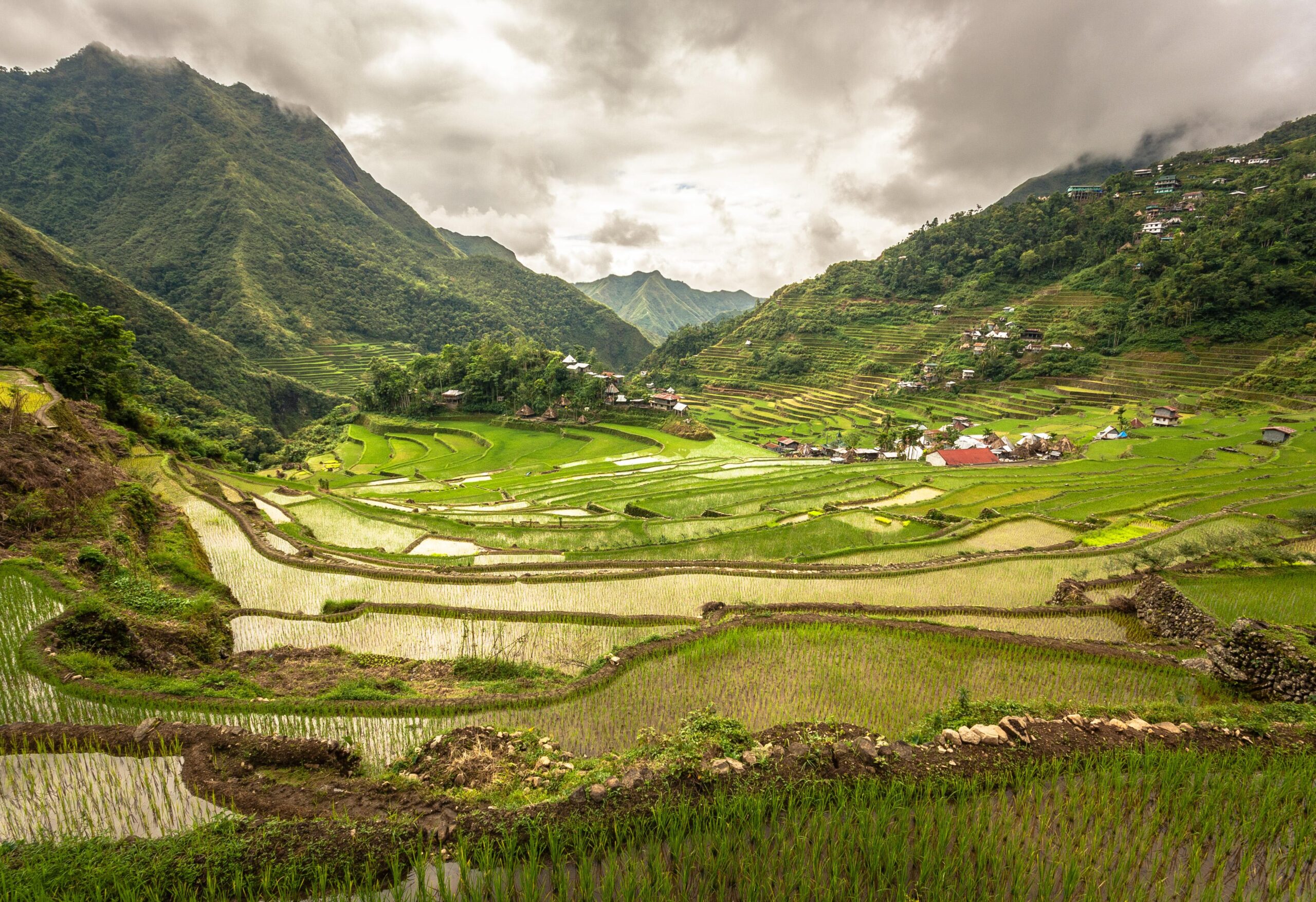 Philippines’ Famed Banaue Rice Terraces by Adi Simionov [3782 × 2592