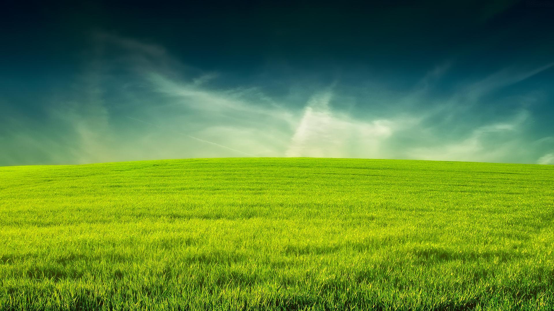 Grass Wallpapers 2