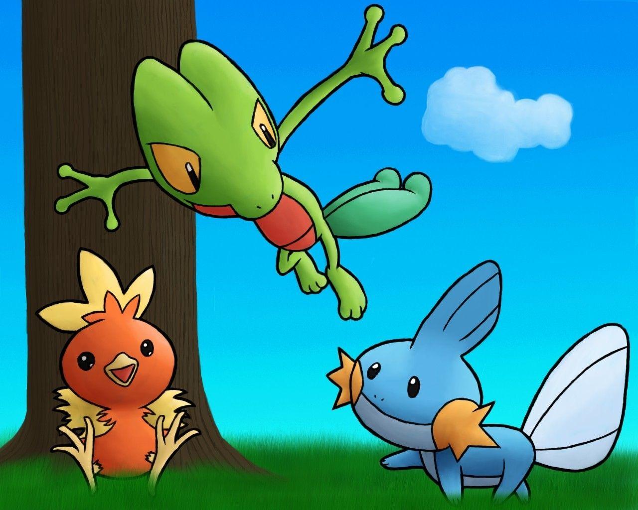 pokemon mudkip treecko torchic wallpapers High Quality